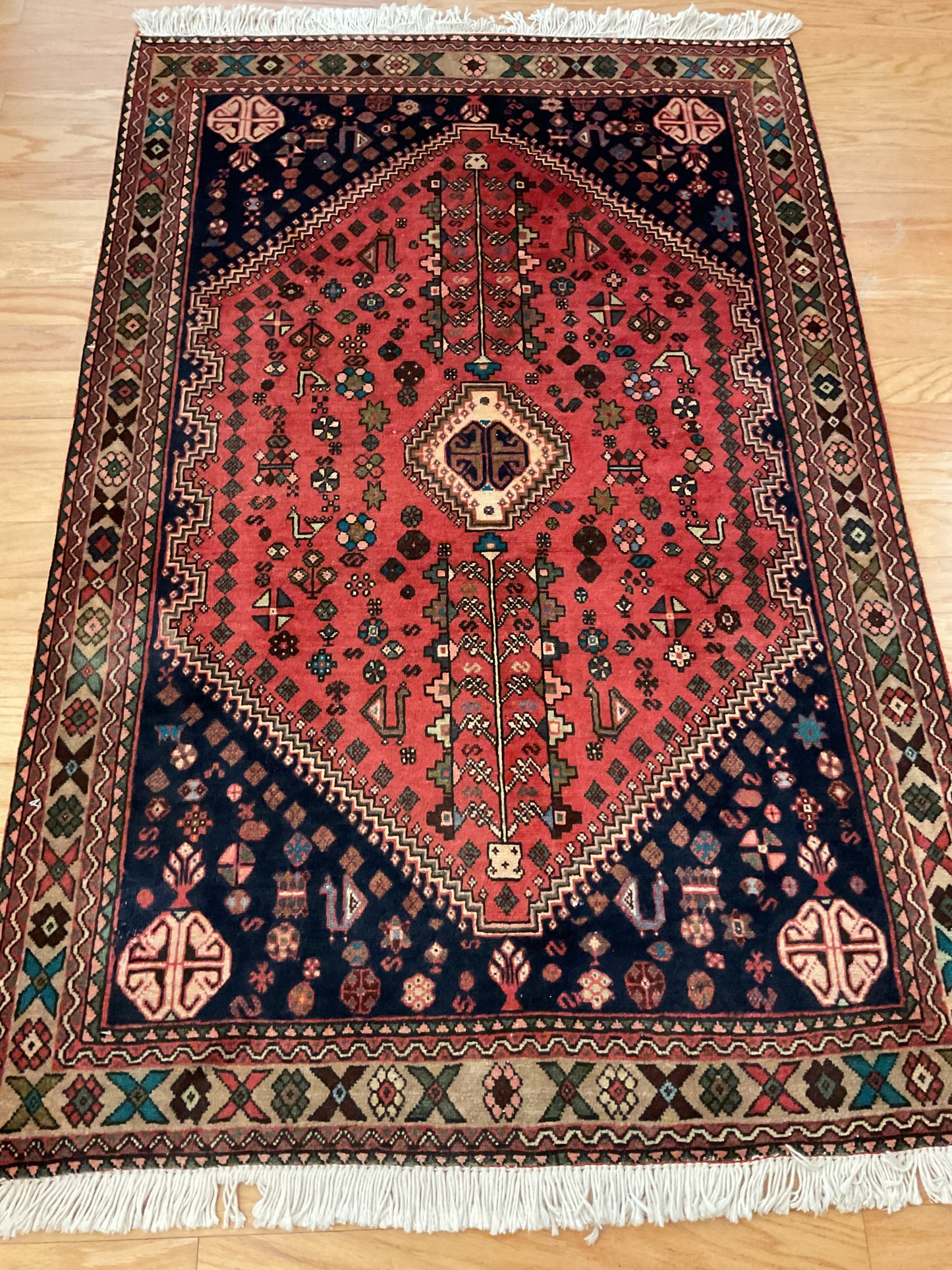 Persian Abadeh - 3.5x5.1 - 1523