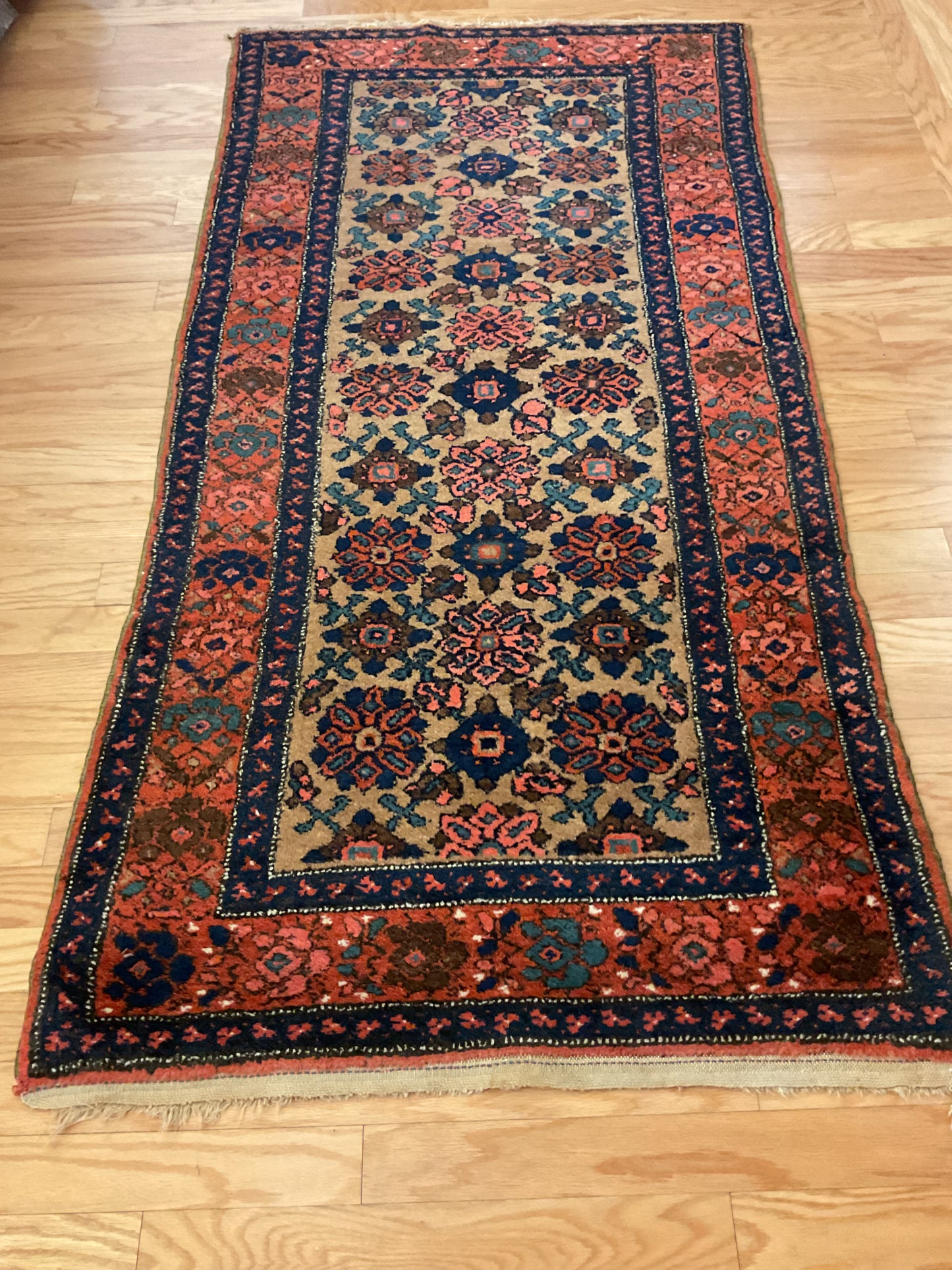 Persian Anglas - 3.5x6.9 - 117939