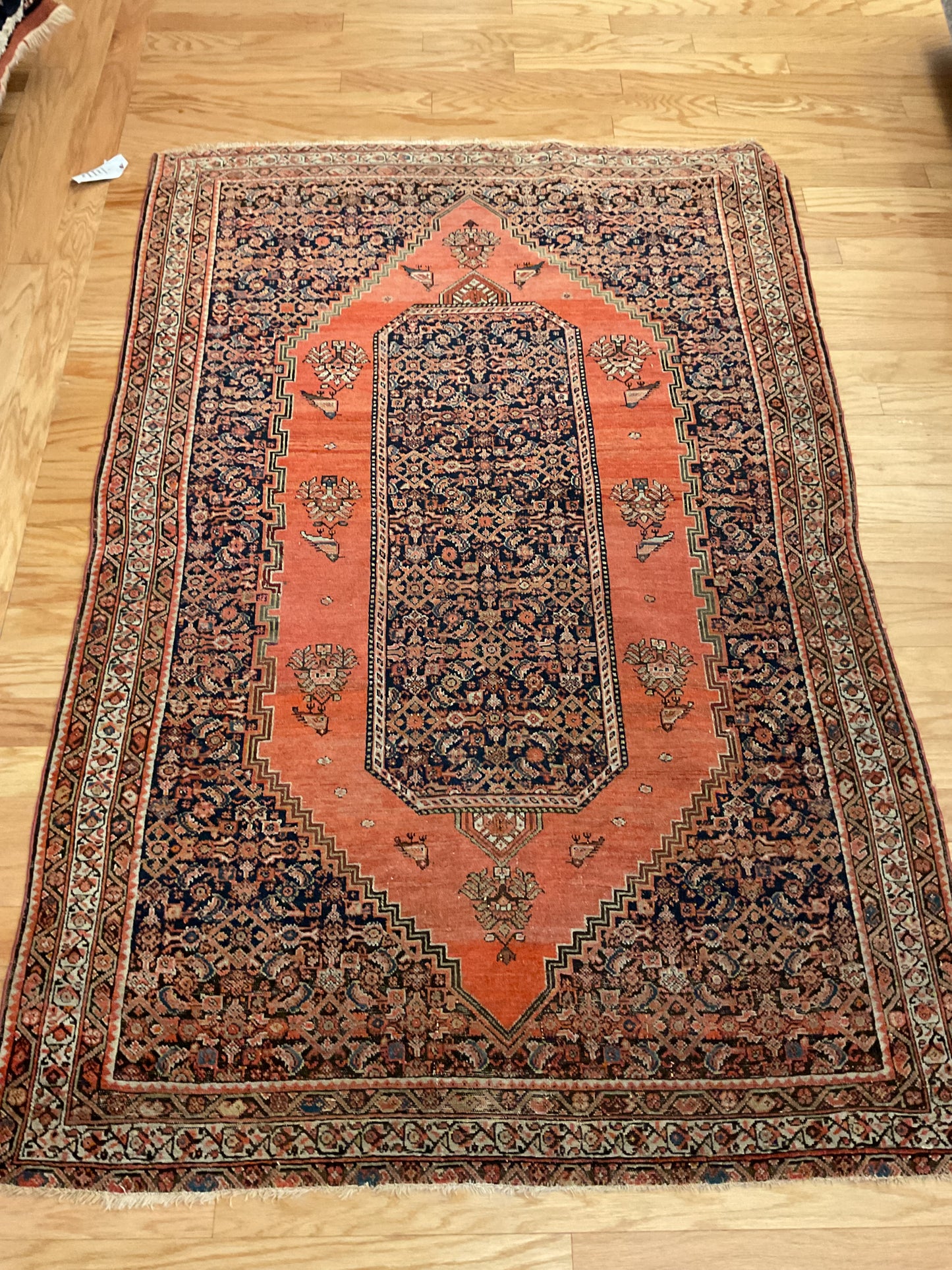 Persian Senneh - 4.0x6.2 - 45920
