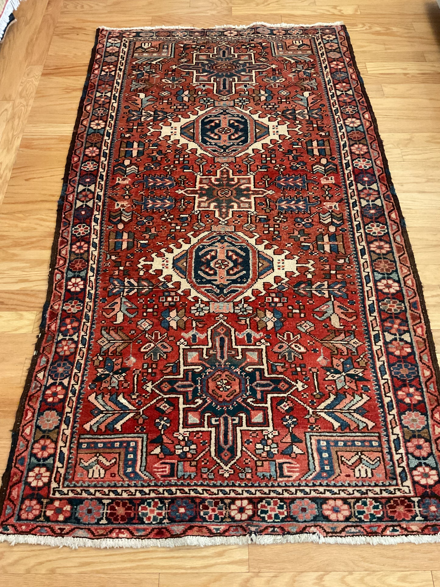 Persian Karajh - 3.9x6.9 - D11697