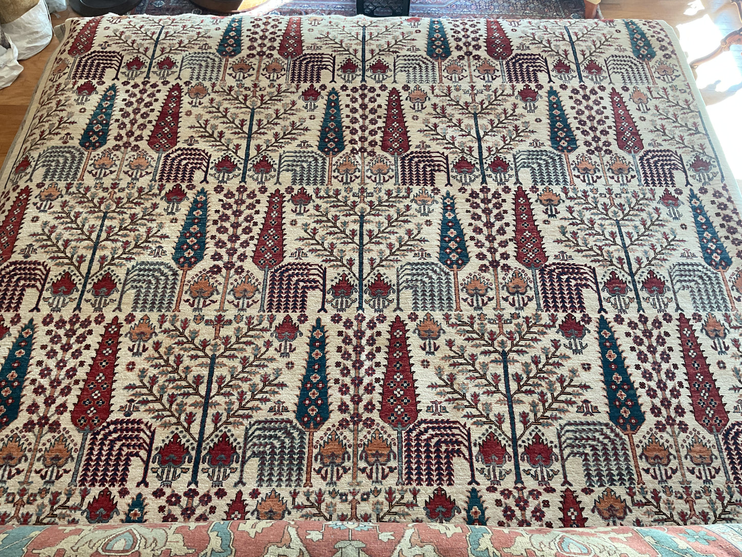 Afghan Bidjar - 10.0x13.9 - 27645