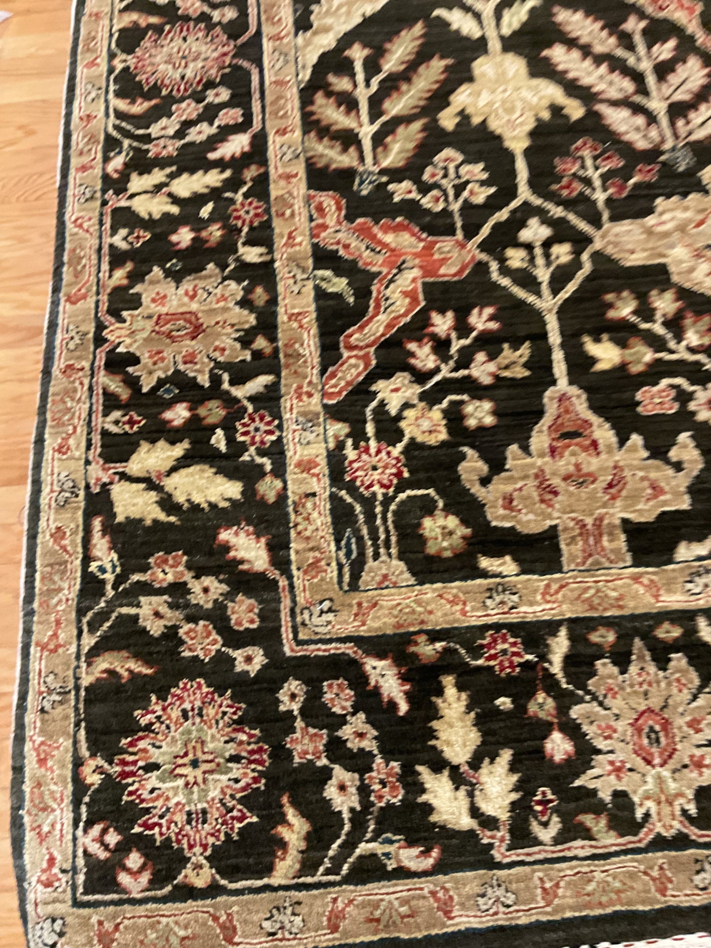 Indian Agra Jaipur - 6.0x9.0 - P6290