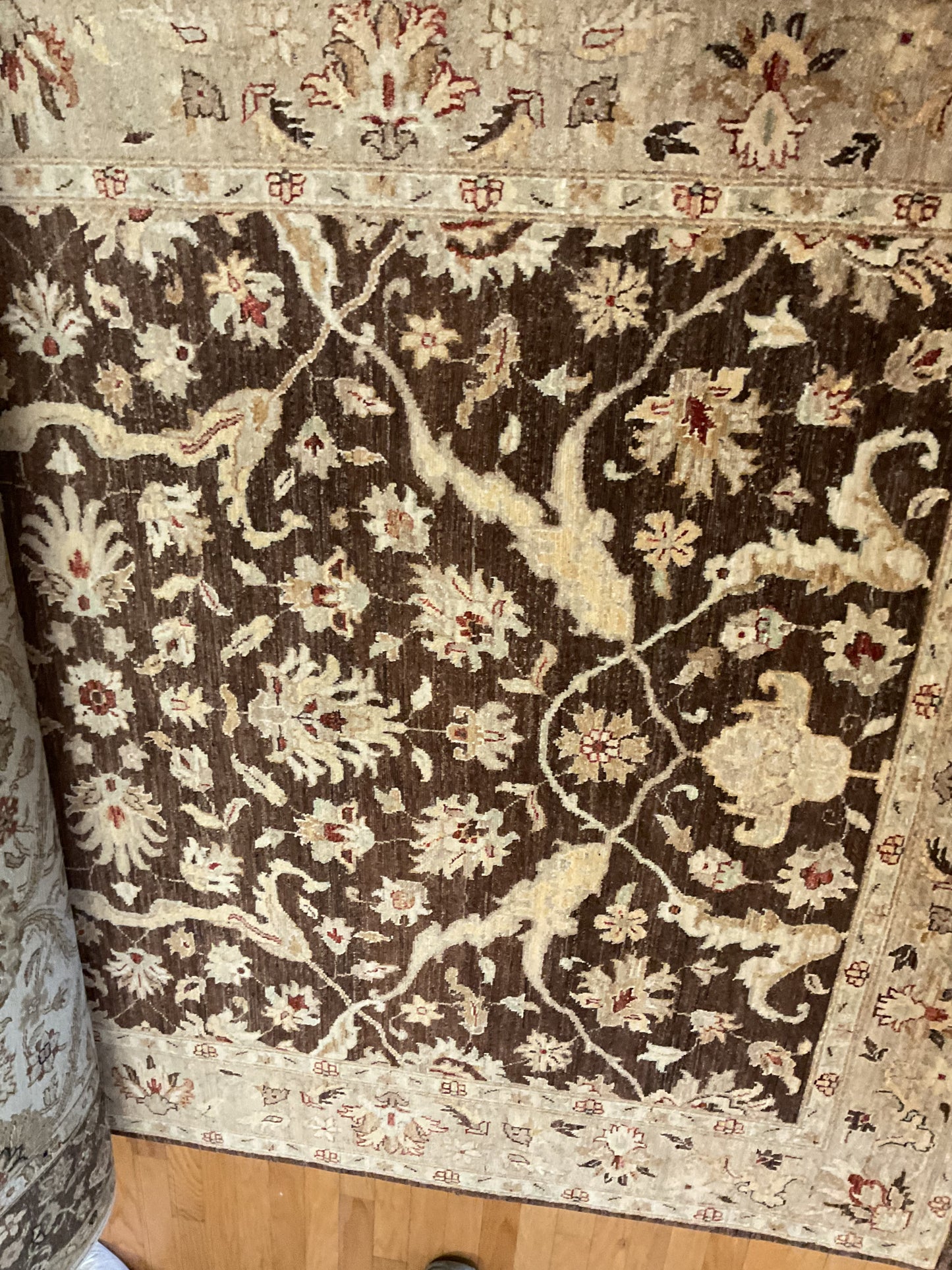 Pakistan Peshawar - 6.1x9.1 - P6075