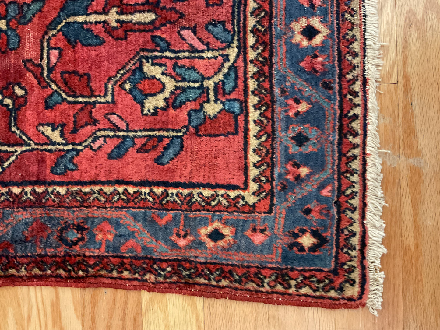 Persian Lilian - 4.2x4.6 - C3071