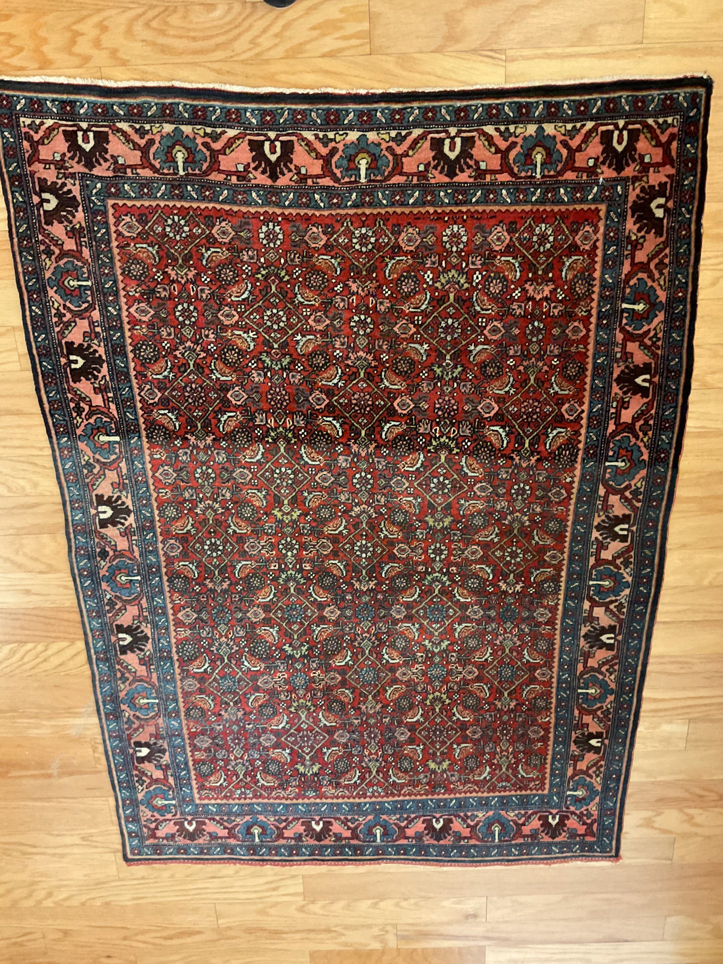 Persian Bidjar - 3.8x5.0 - G4307