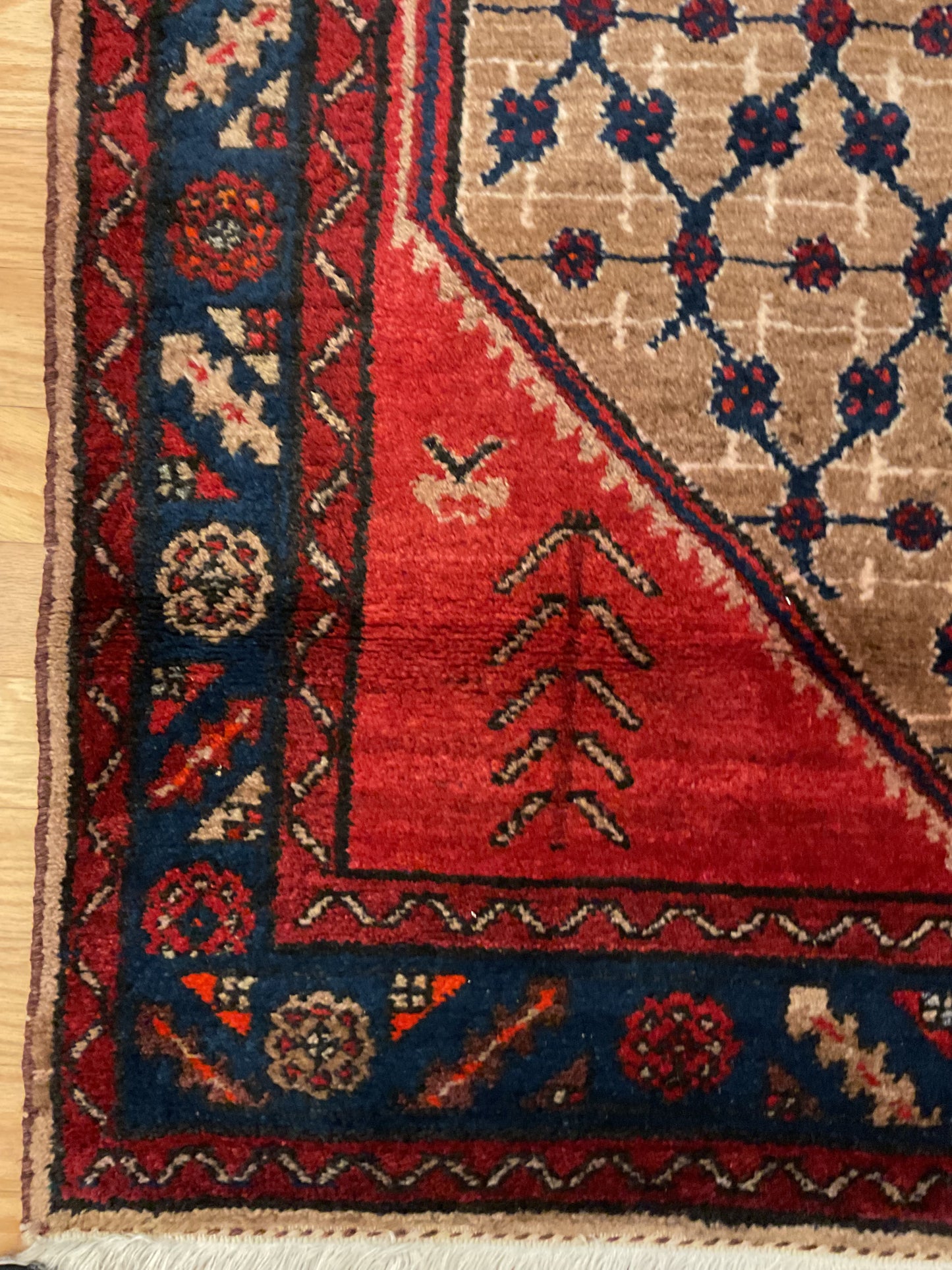 Persian Kurdish - 3.8x6.9 - P6235