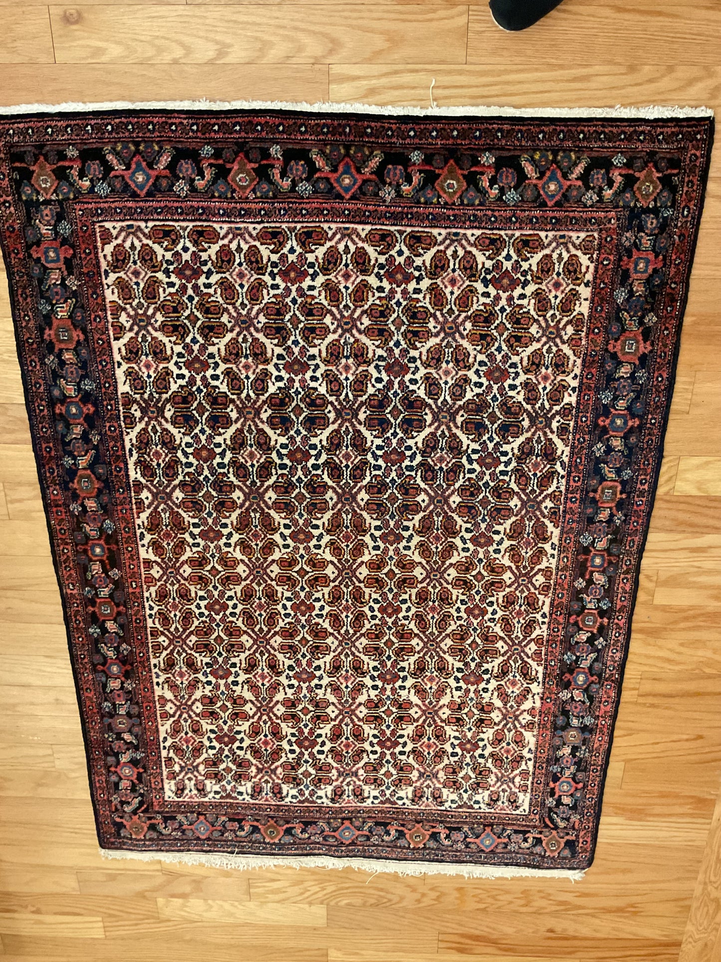 Persian Senneh - 3.7x4.11 - P6239