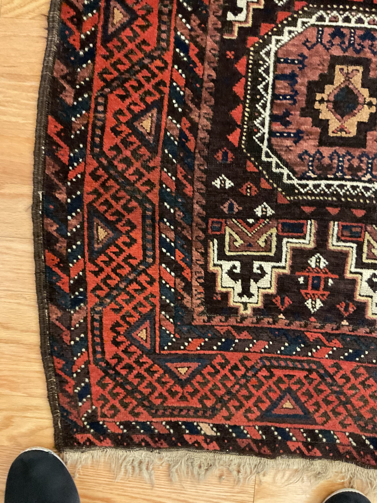 Persian Baluch - 3.11x6.9 - P1236