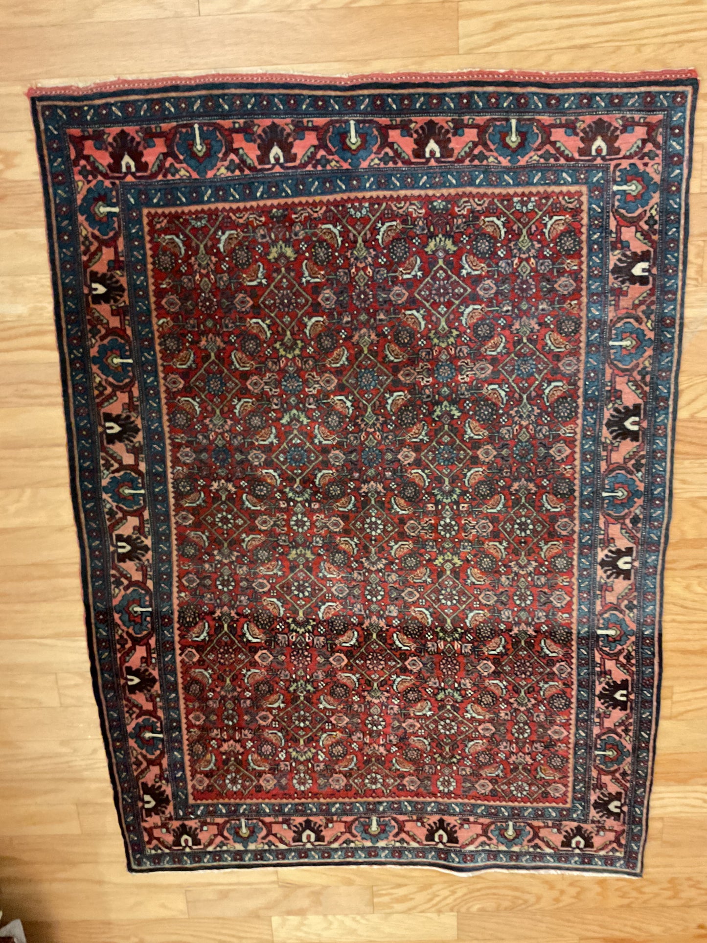 Persian Bidjar - 3.8x5.0 - G4307