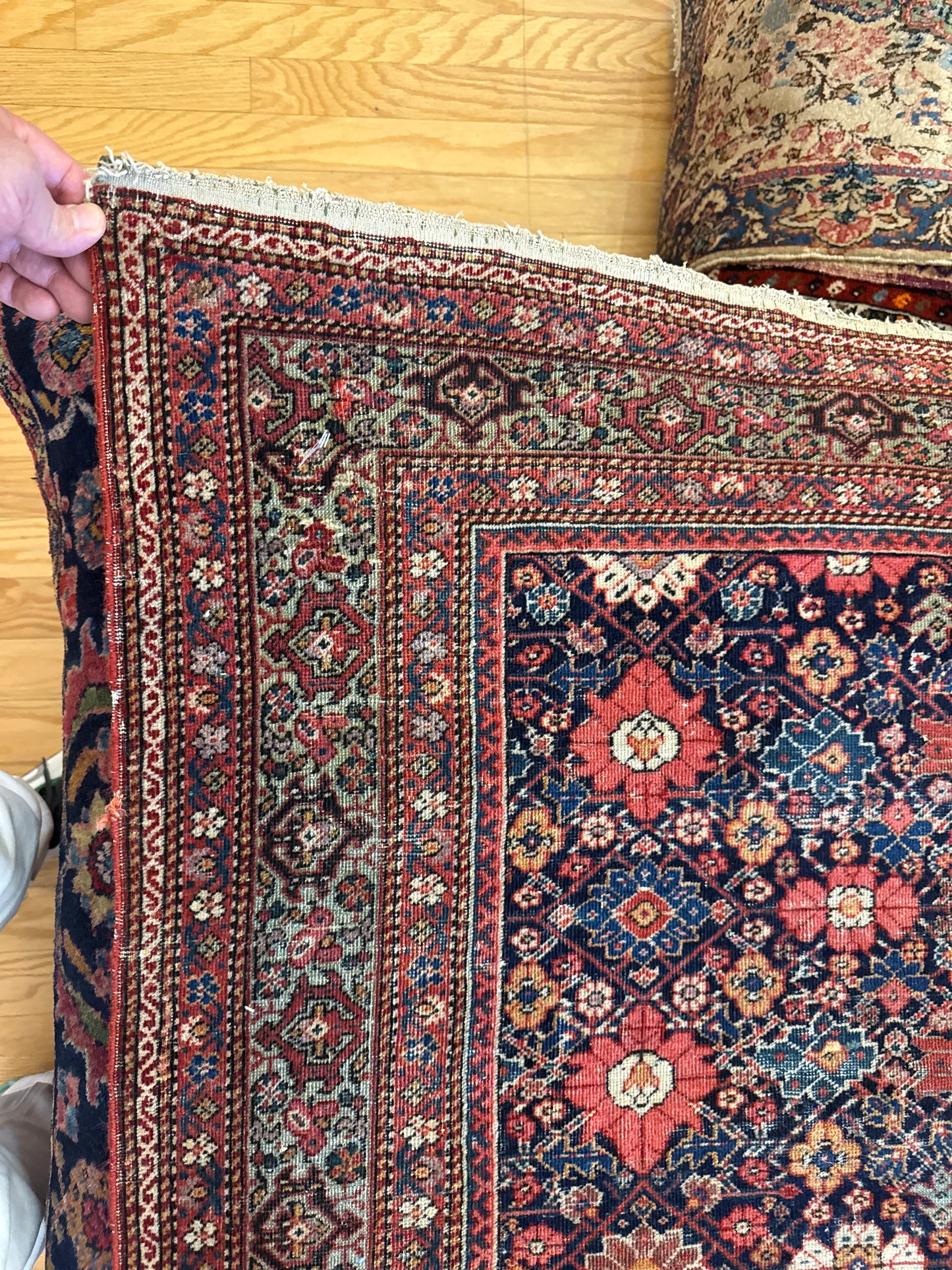 Persian Sarouk Farahan - 3.10x6.5 - FA428261