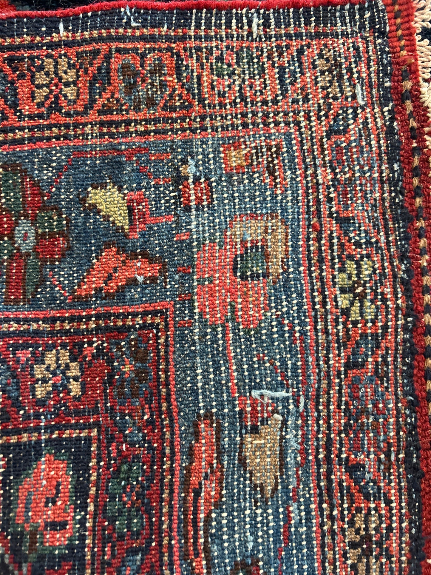 Persian Mehraban - 3.0x16.10 - G497