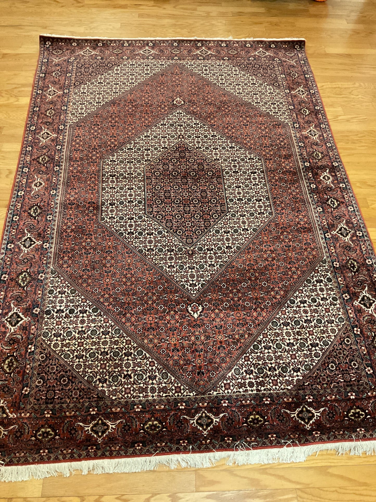 Persian Bidjar - 6.9x9.10 - 039844