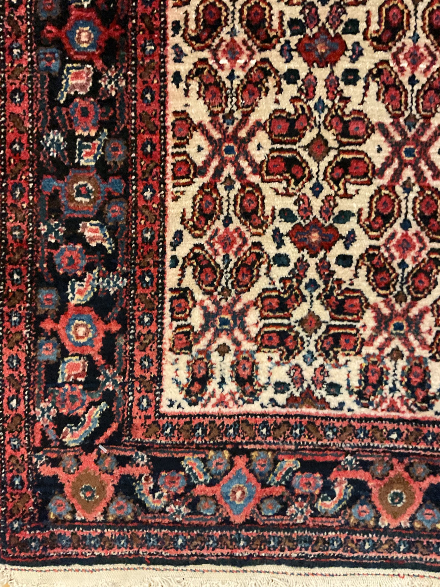 Persian Senneh - 3.7x4.11 - P6239