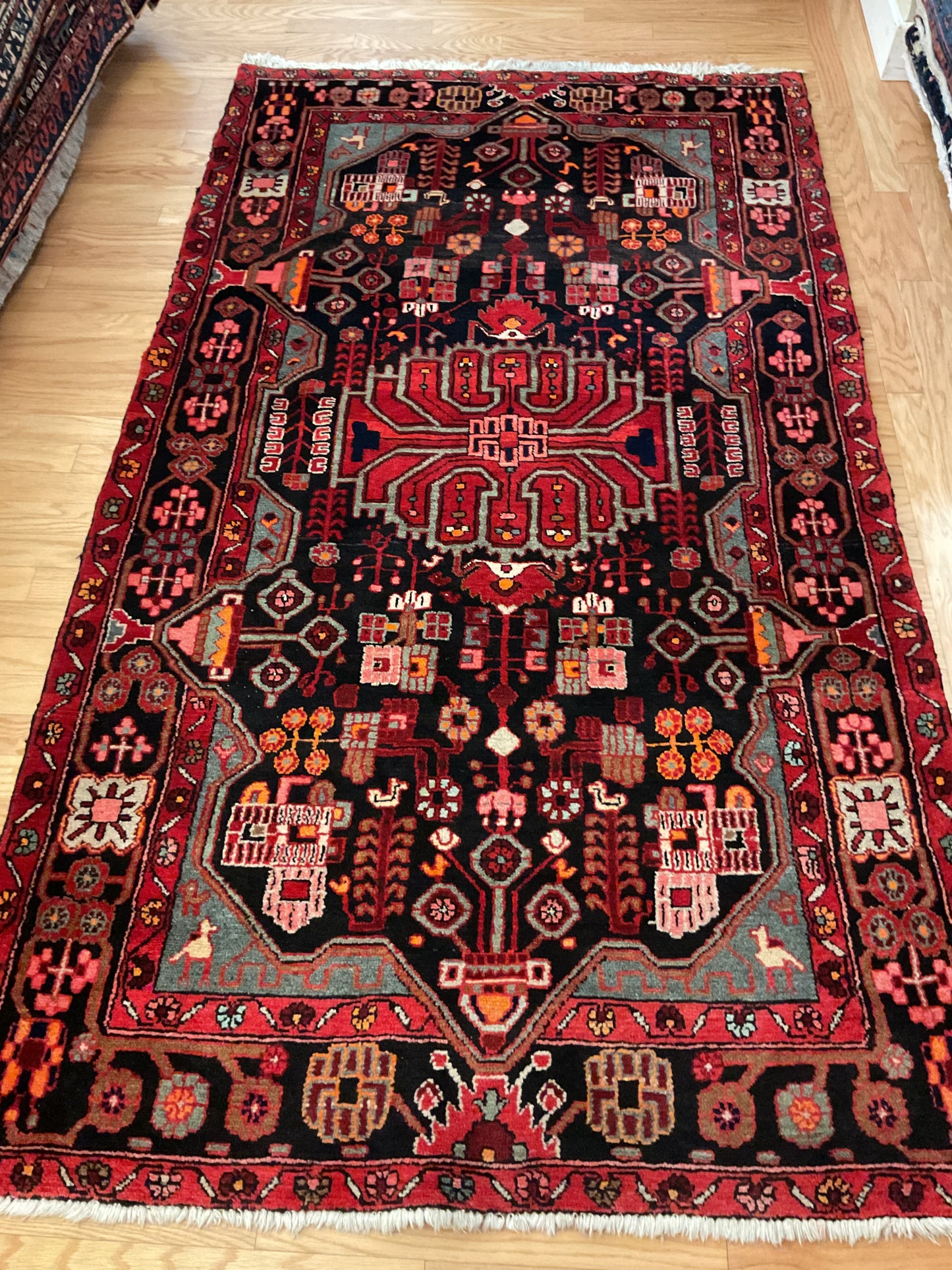 Persian Hamadan - 4.11x8.8 - C12694