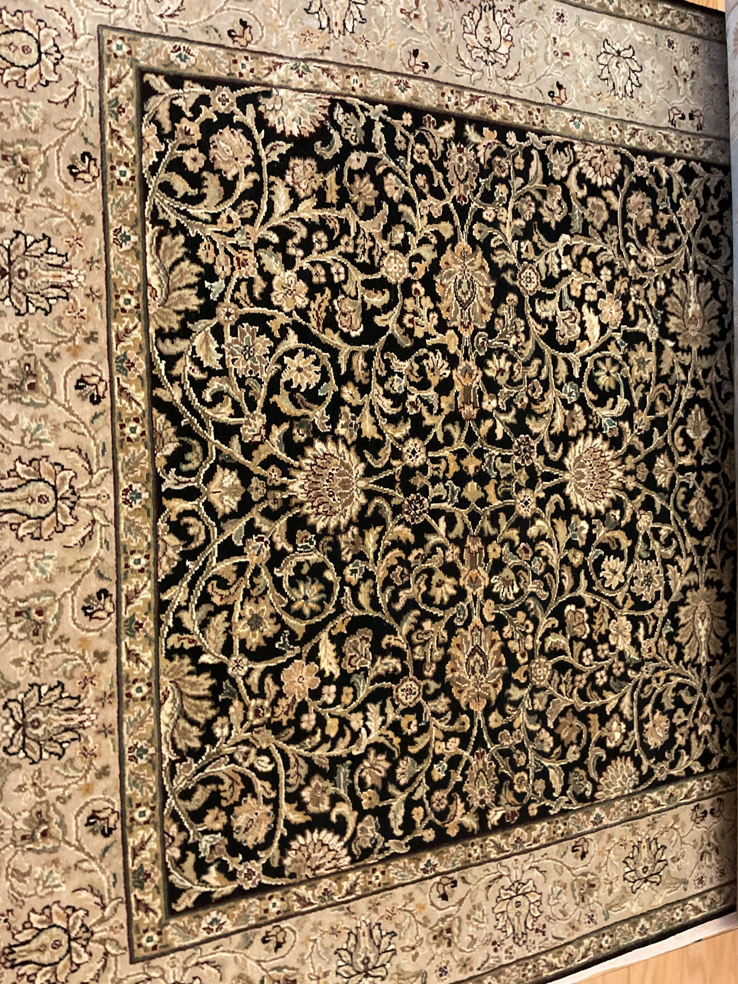 Indian Agra Jaipur - 5.11x9.0 - P6291