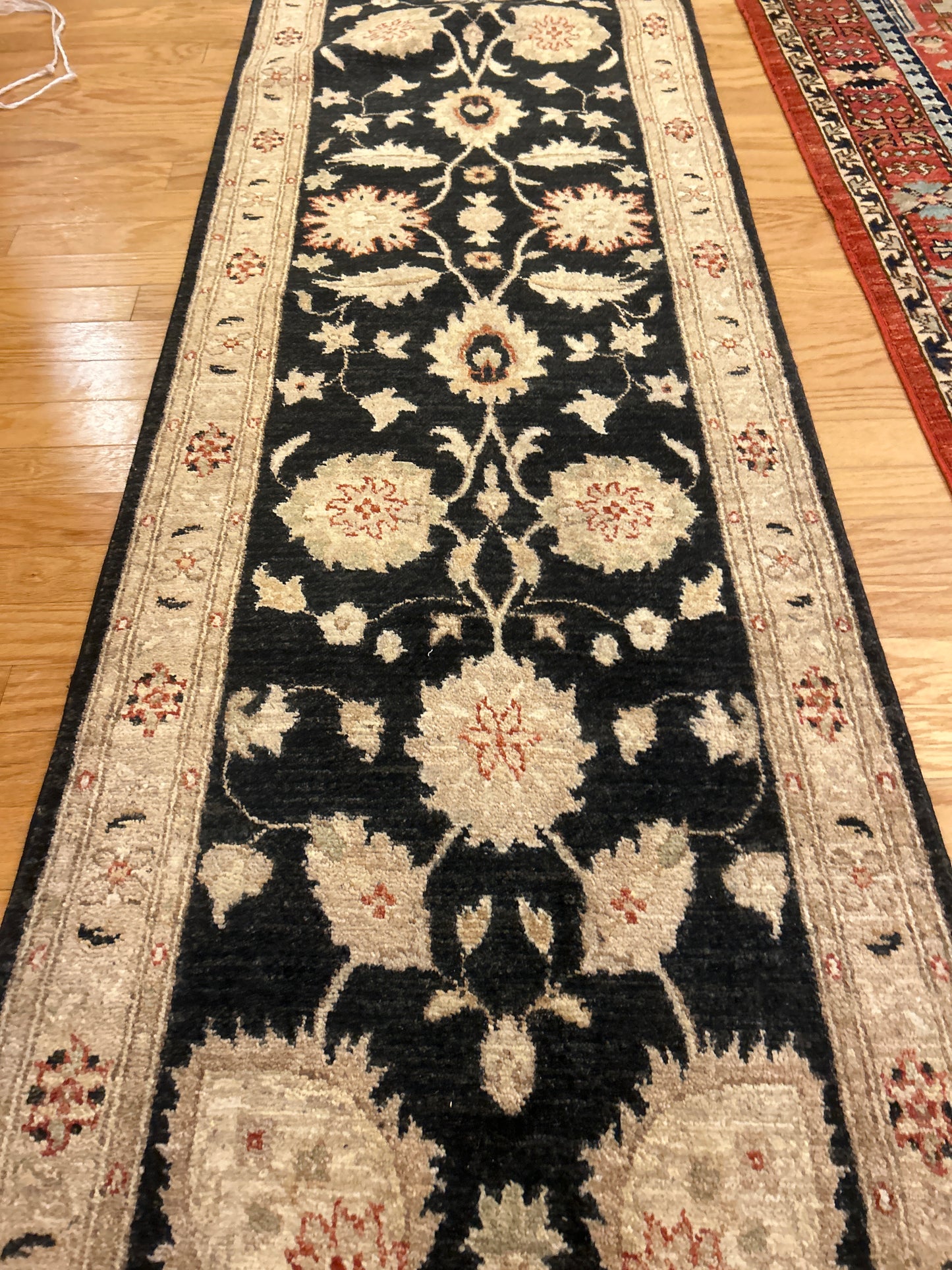 Pakistan Peshawar - 2.7x20.1 - L6166