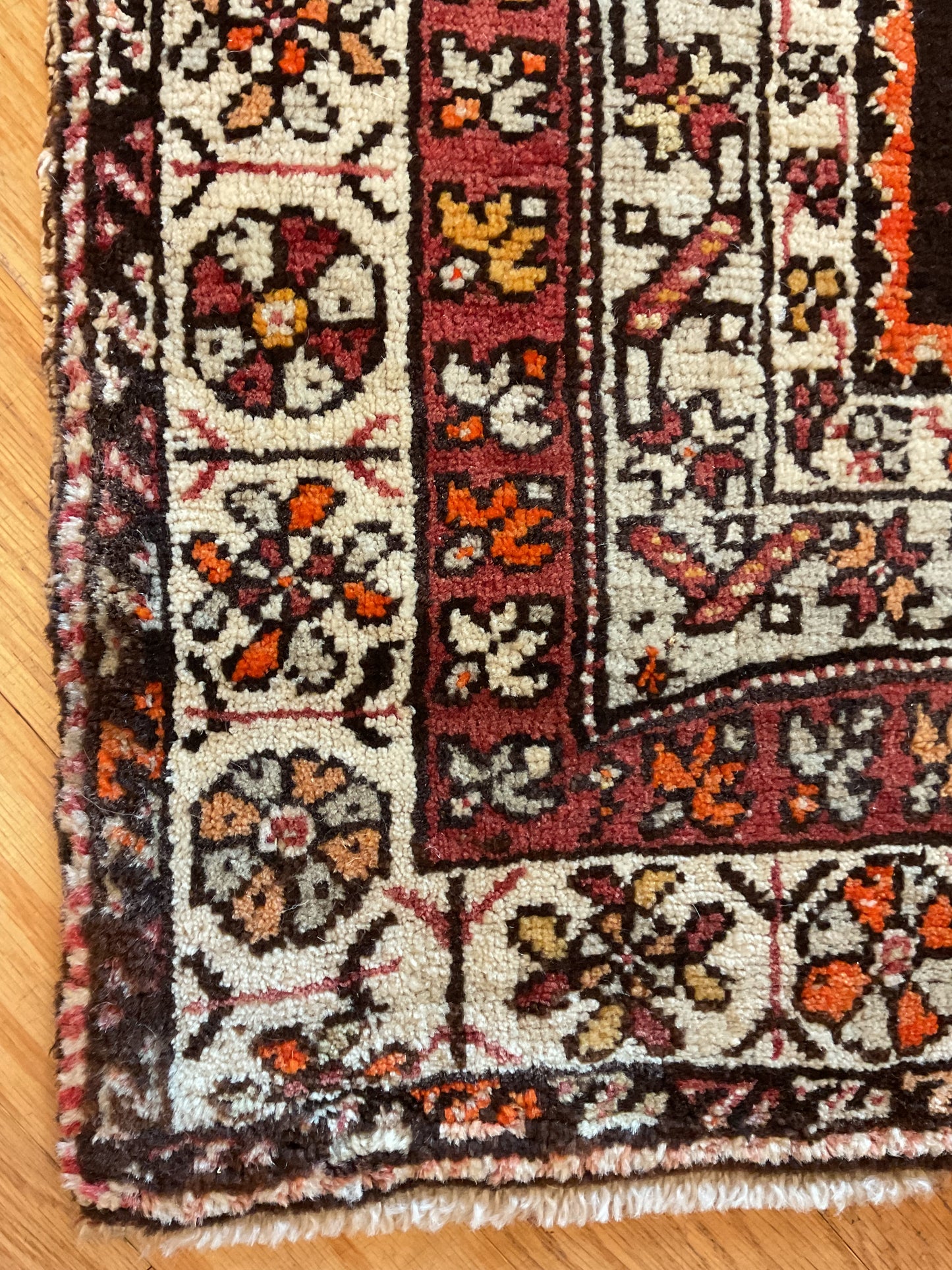 Turkish Anatolian - 3.9x6.0 - DM553