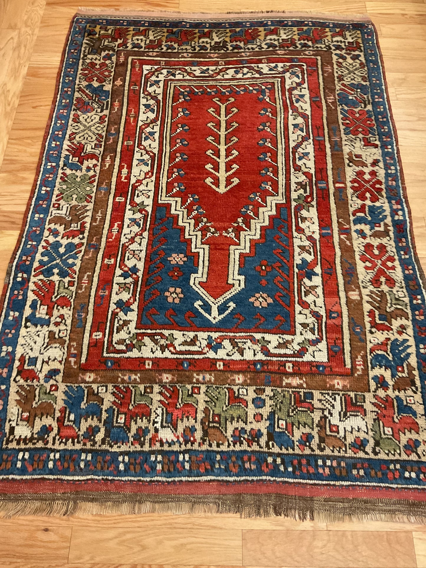 Turkish Melas - 4.1x5.11 - FF114