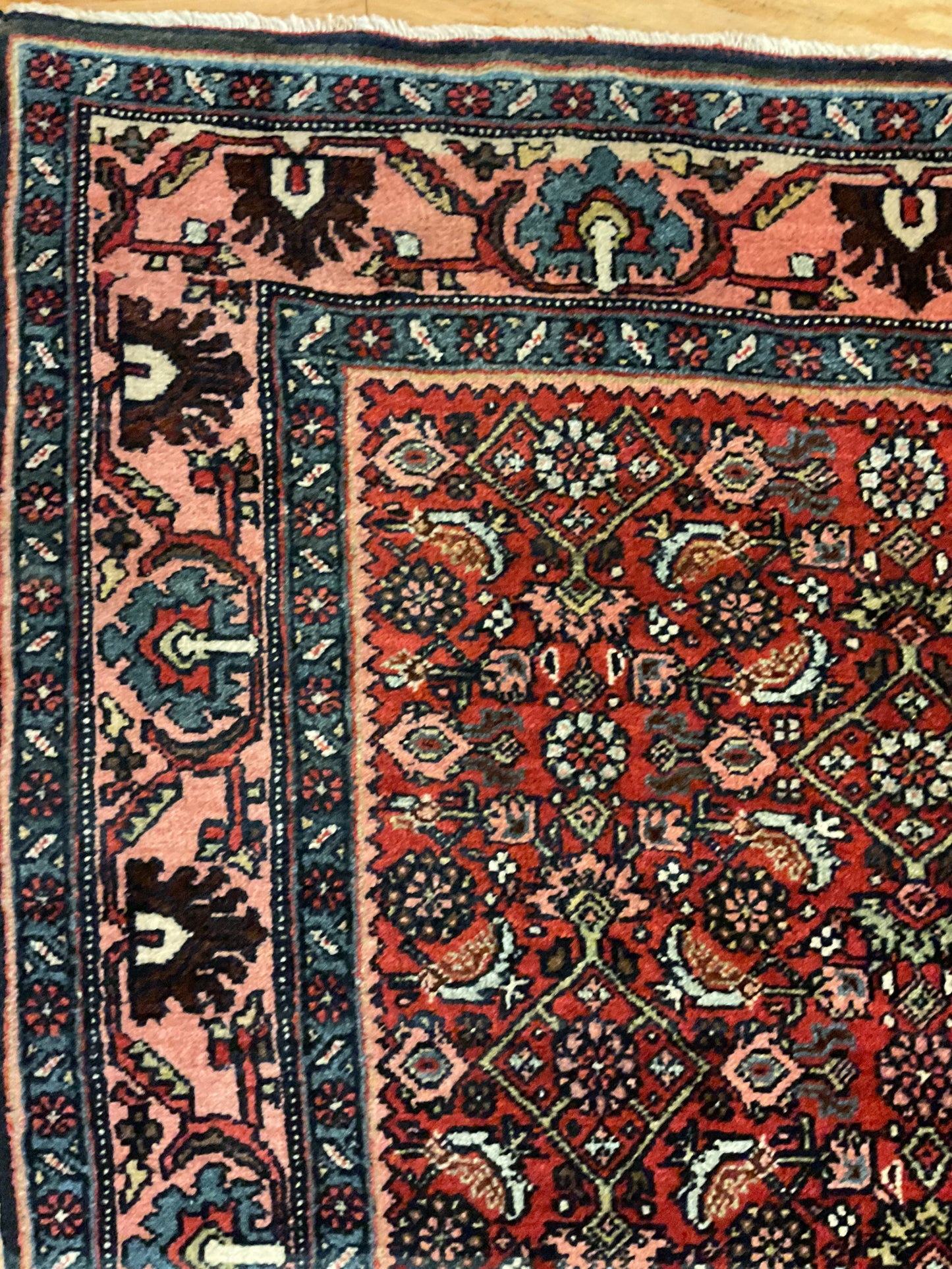 Persian Bidjar - 3.8x5.0 - G4307
