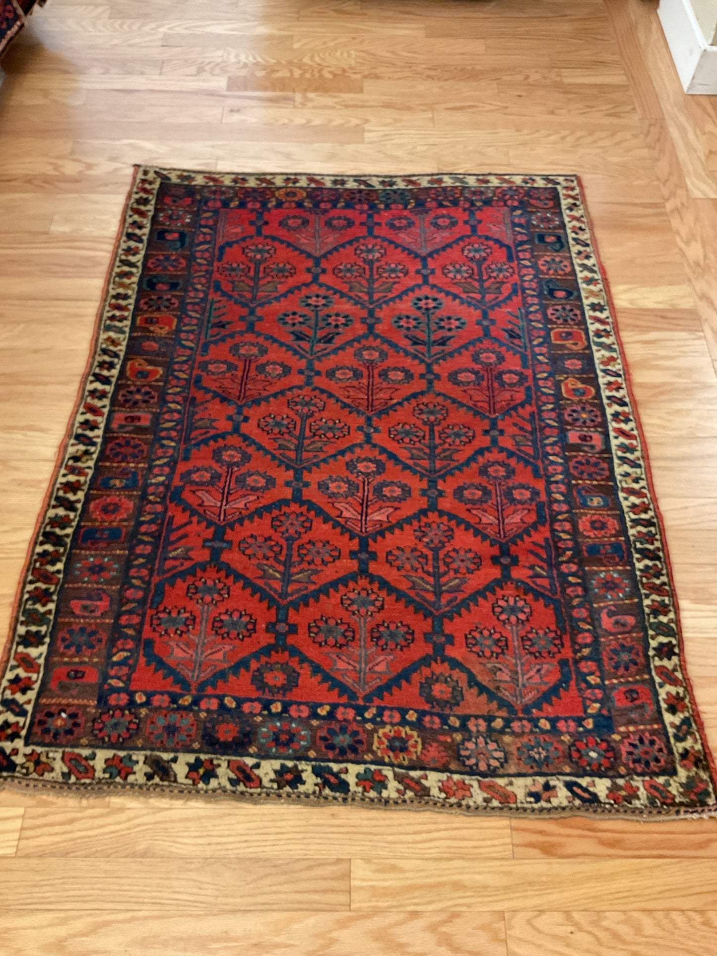 Persian Kurdish - 4.1x5.3 - 13957