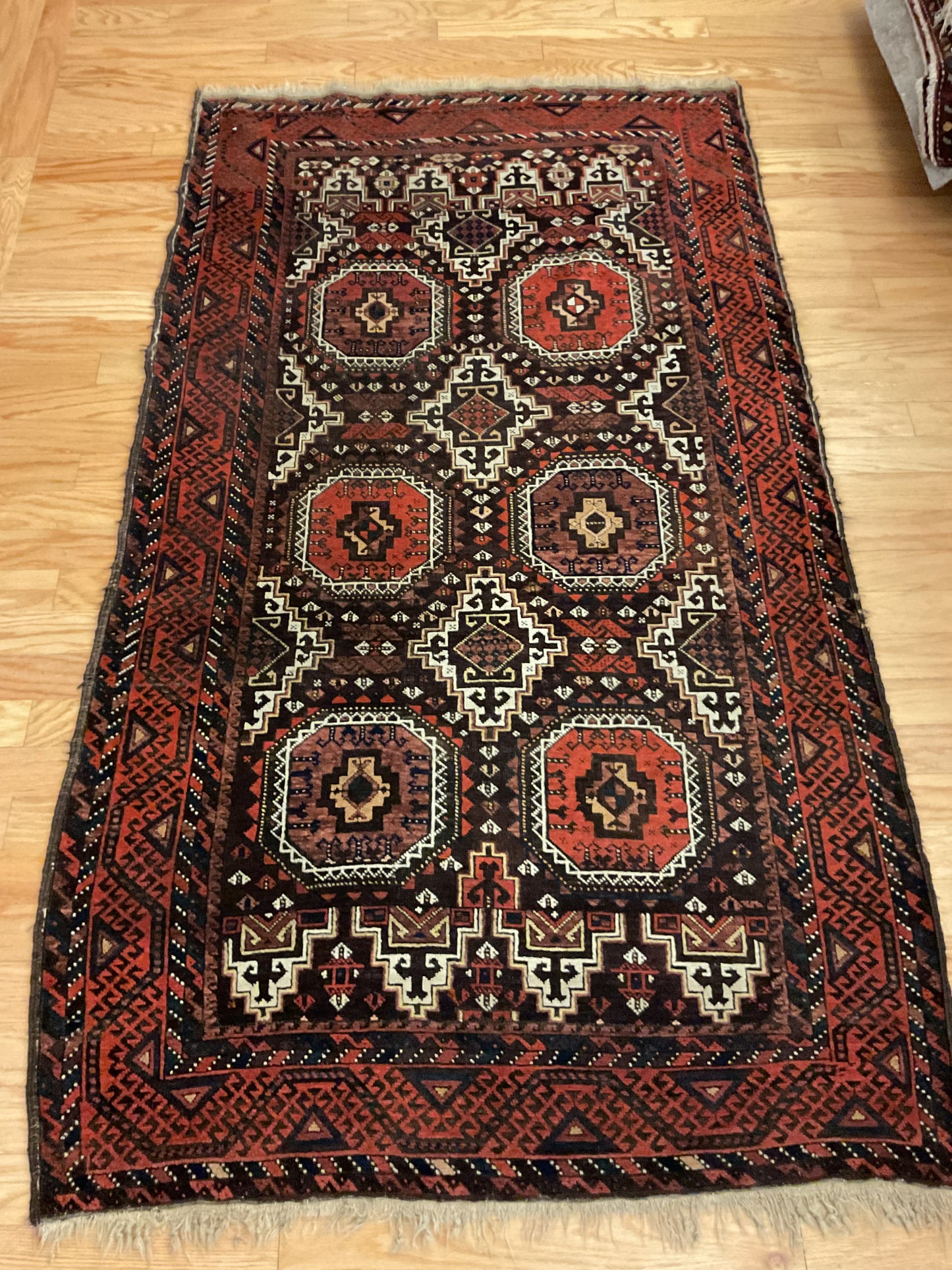 Persian Baluch - 3.11x6.9 - P1236