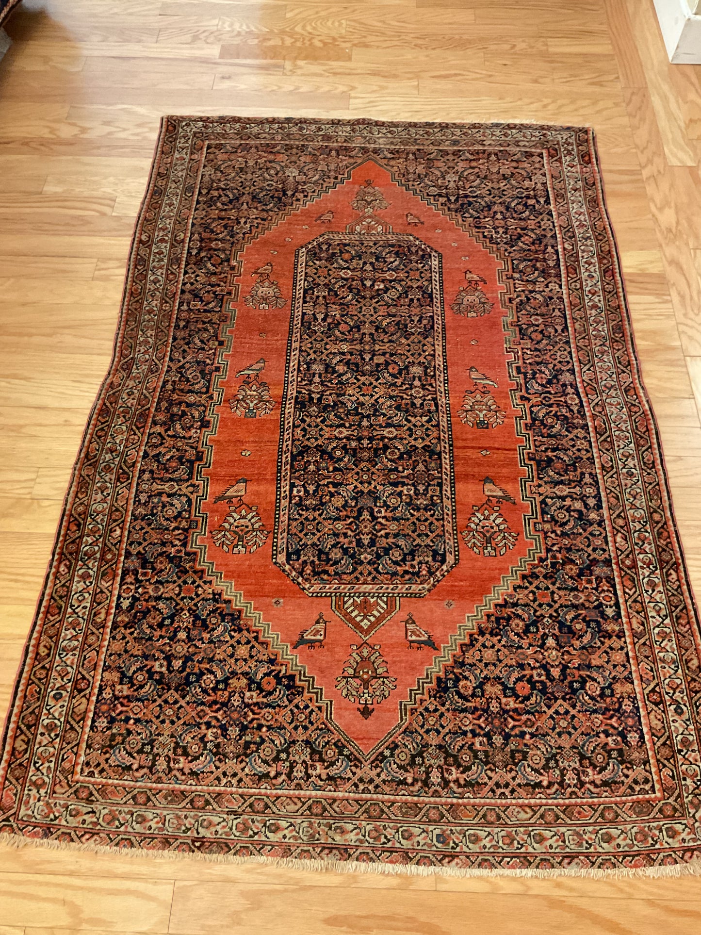 Persian Senneh - 4.0x6.2 - 45920
