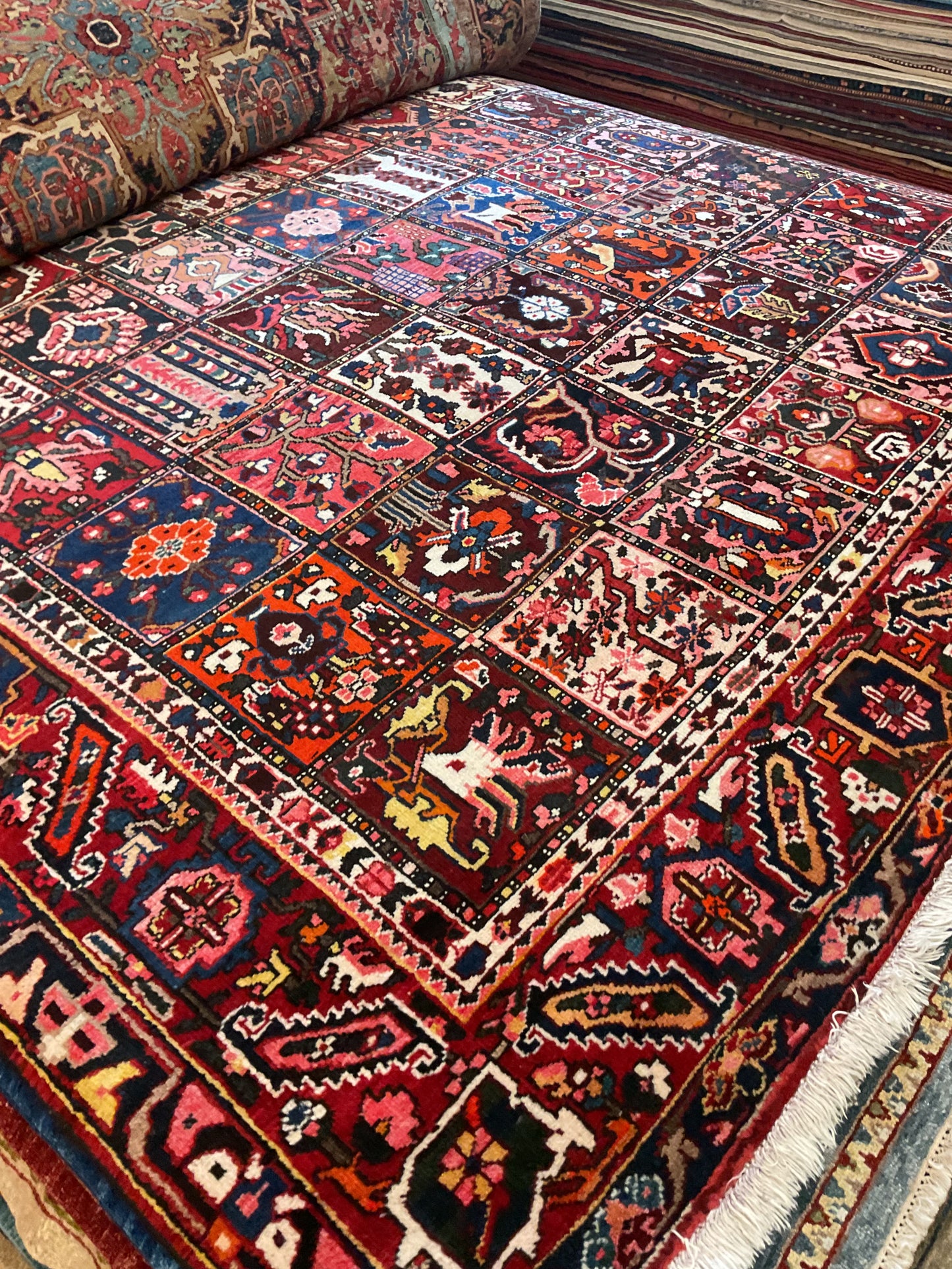 Persian Baktarie - 9.3x11.9 - G4588