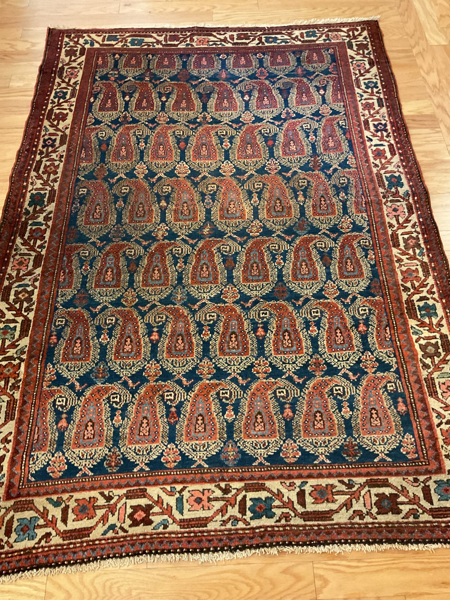 Persian Kurdish - 4.9x6.5 - M6231