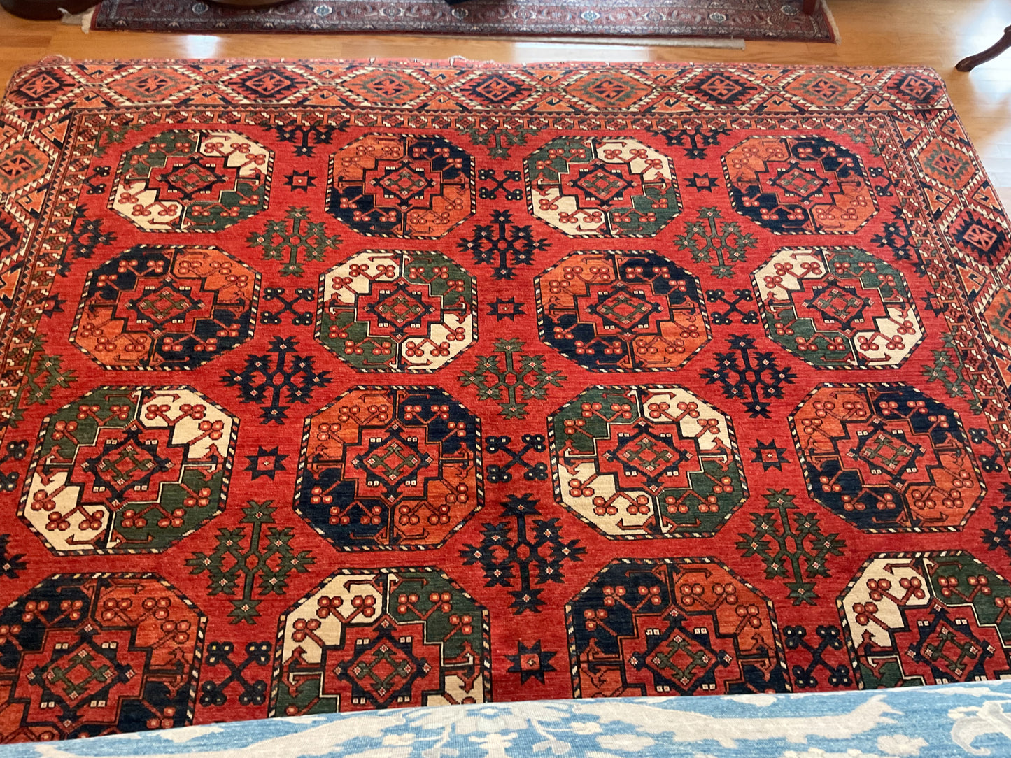 Afghan Bokhora - 9.9x13.4 - 53370