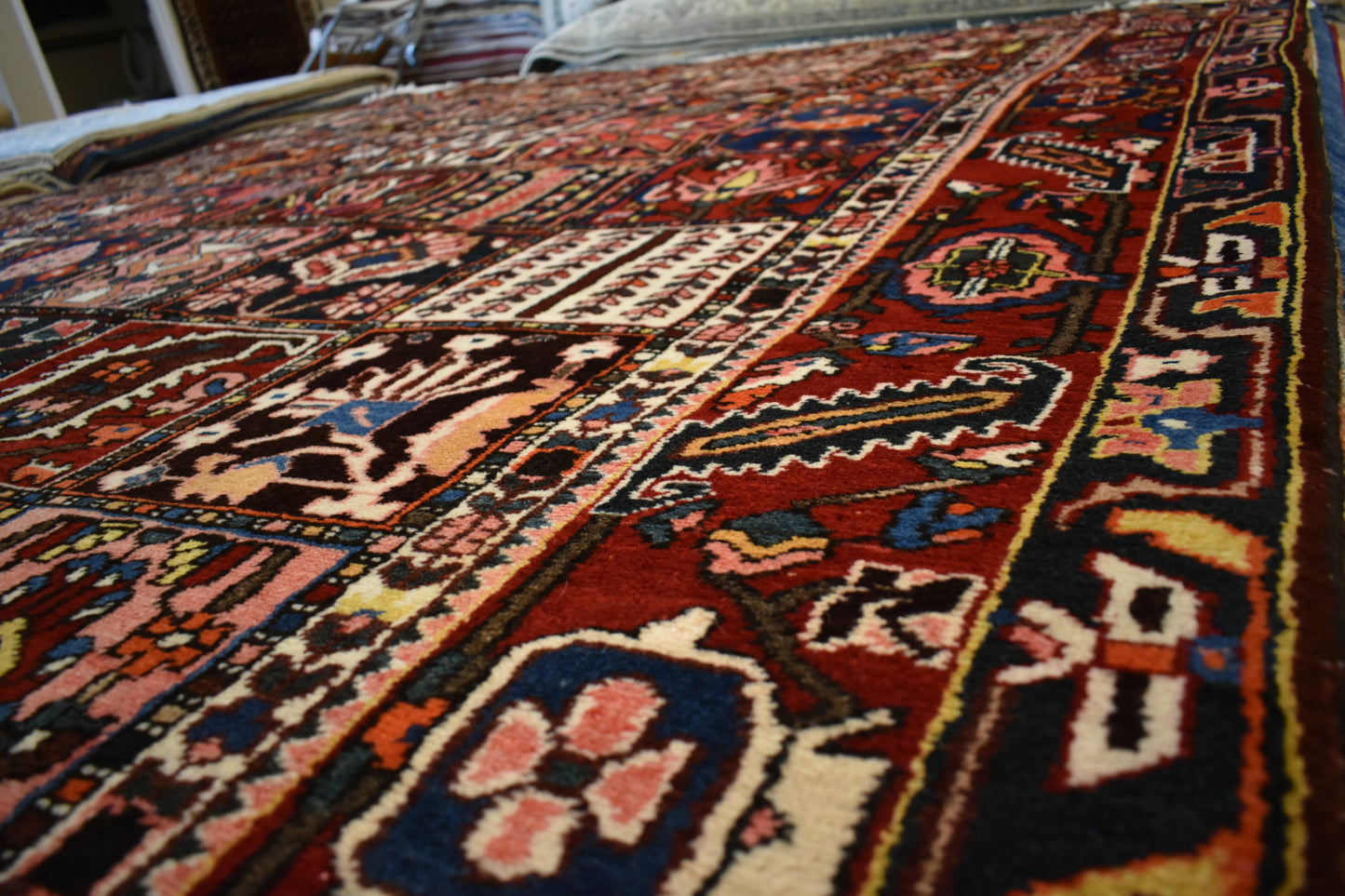 Persian Baktarie - 9.3x11.9 - G4588