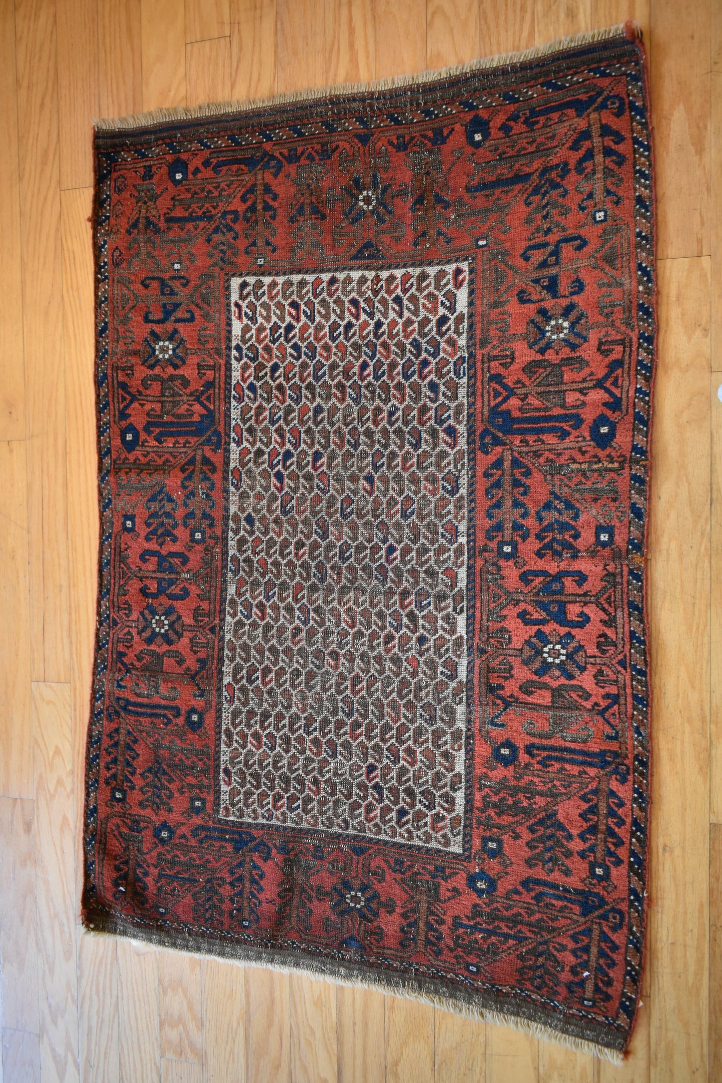 Persian Baluch - 2.9x4.4 - 1179992