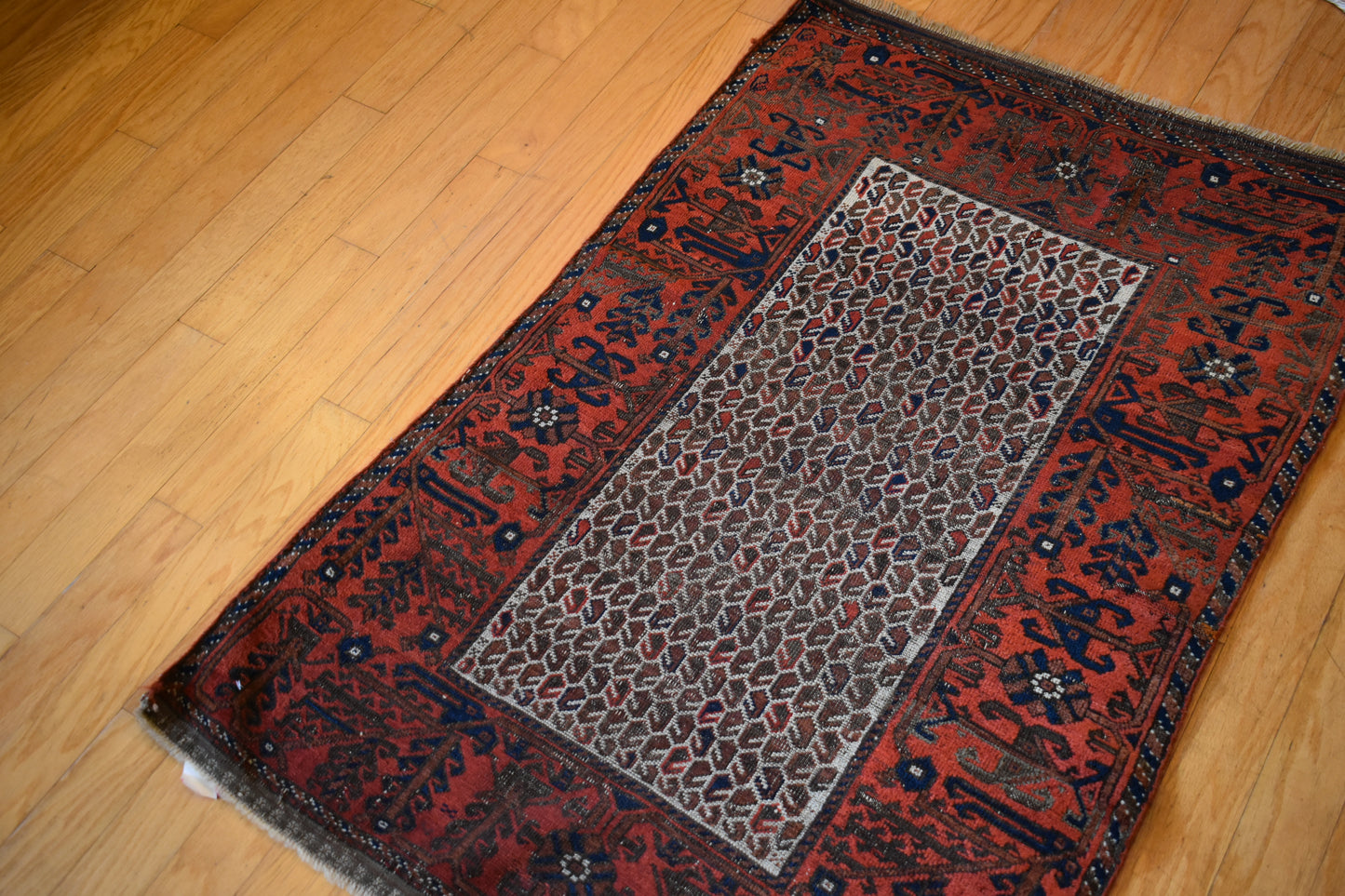 Persian Baluch - 2.9x4.4 - 1179992