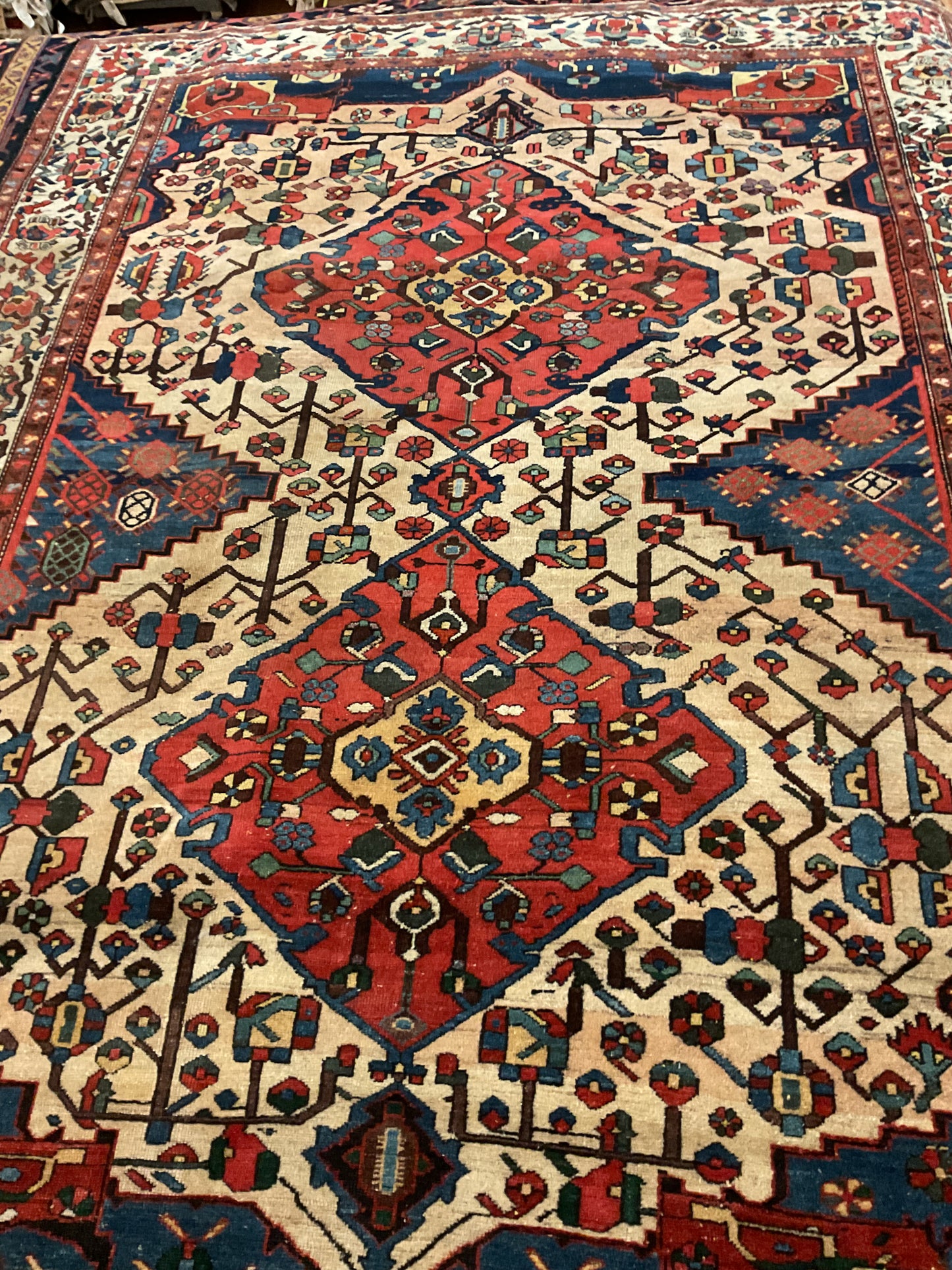 Persian Baktarie - 7.4x10.2 - 11765BN