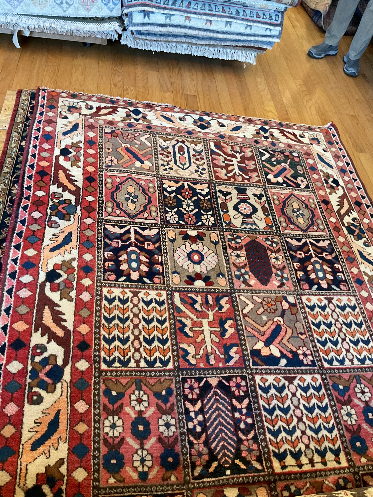 Persian Baktarie - 5.7x9.10 - 113362