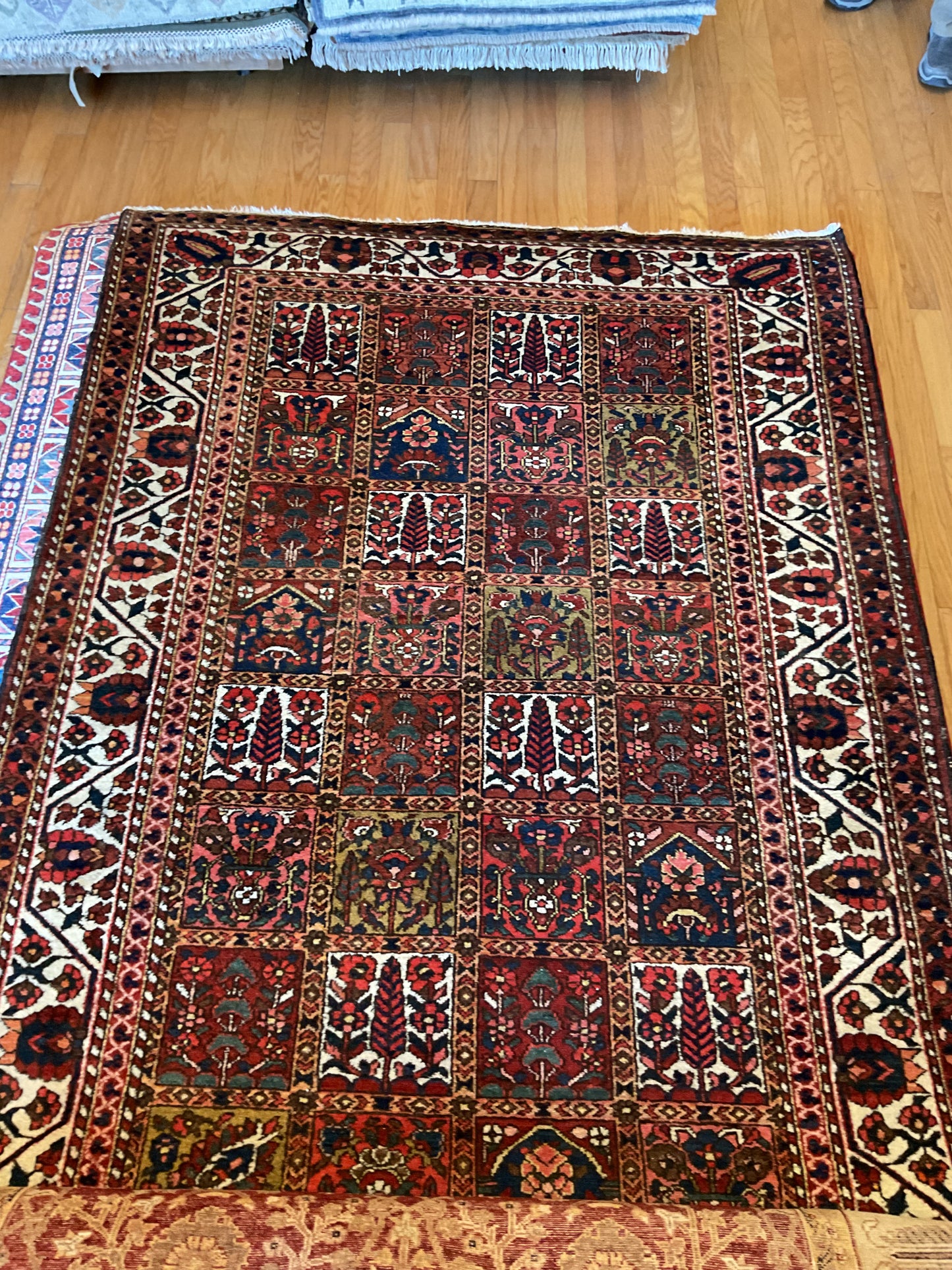 Persian Baktarie - 5.5x9.11 - 22361