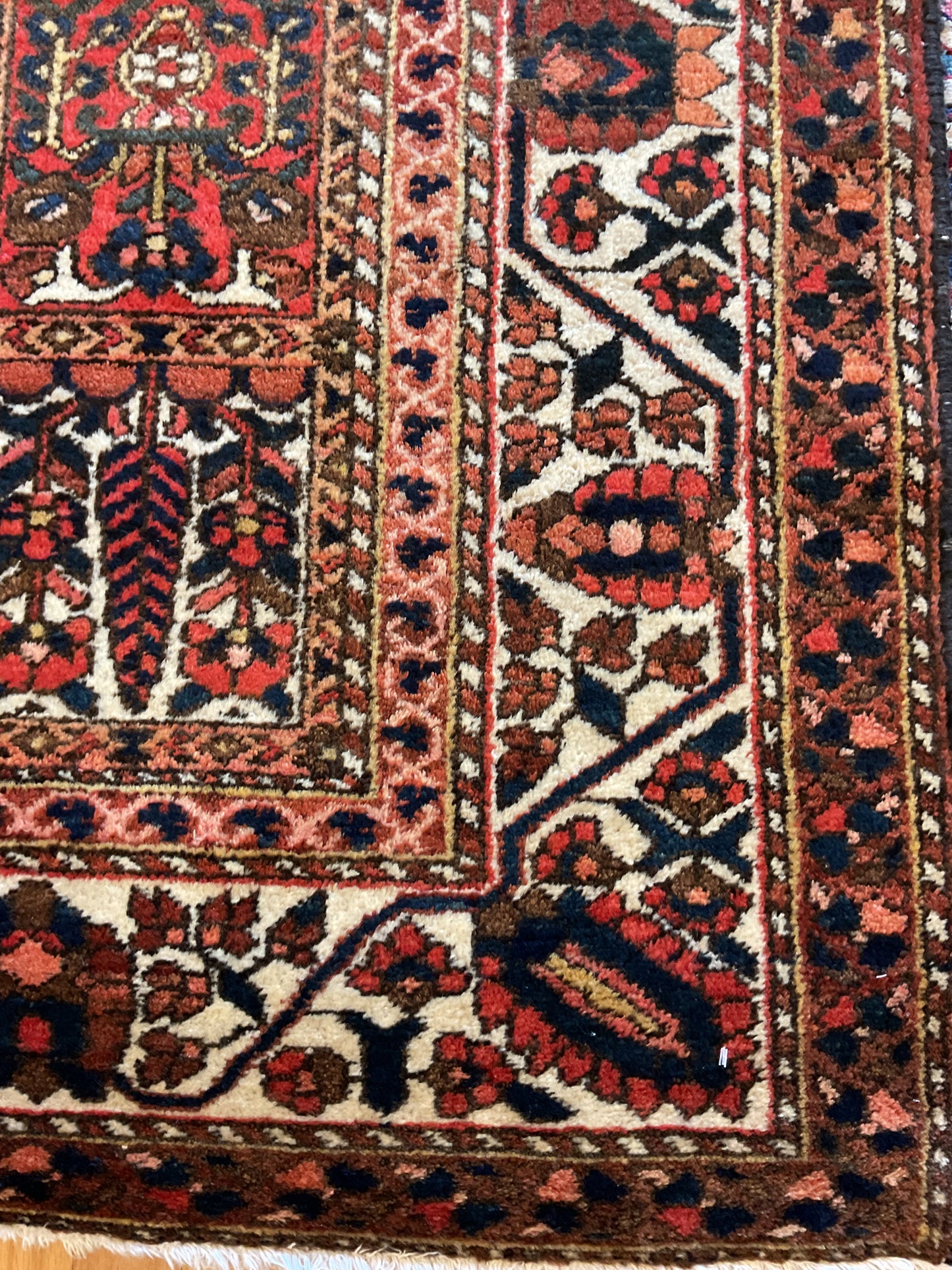 Persian Baktarie - 5.5x9.11 - 22361