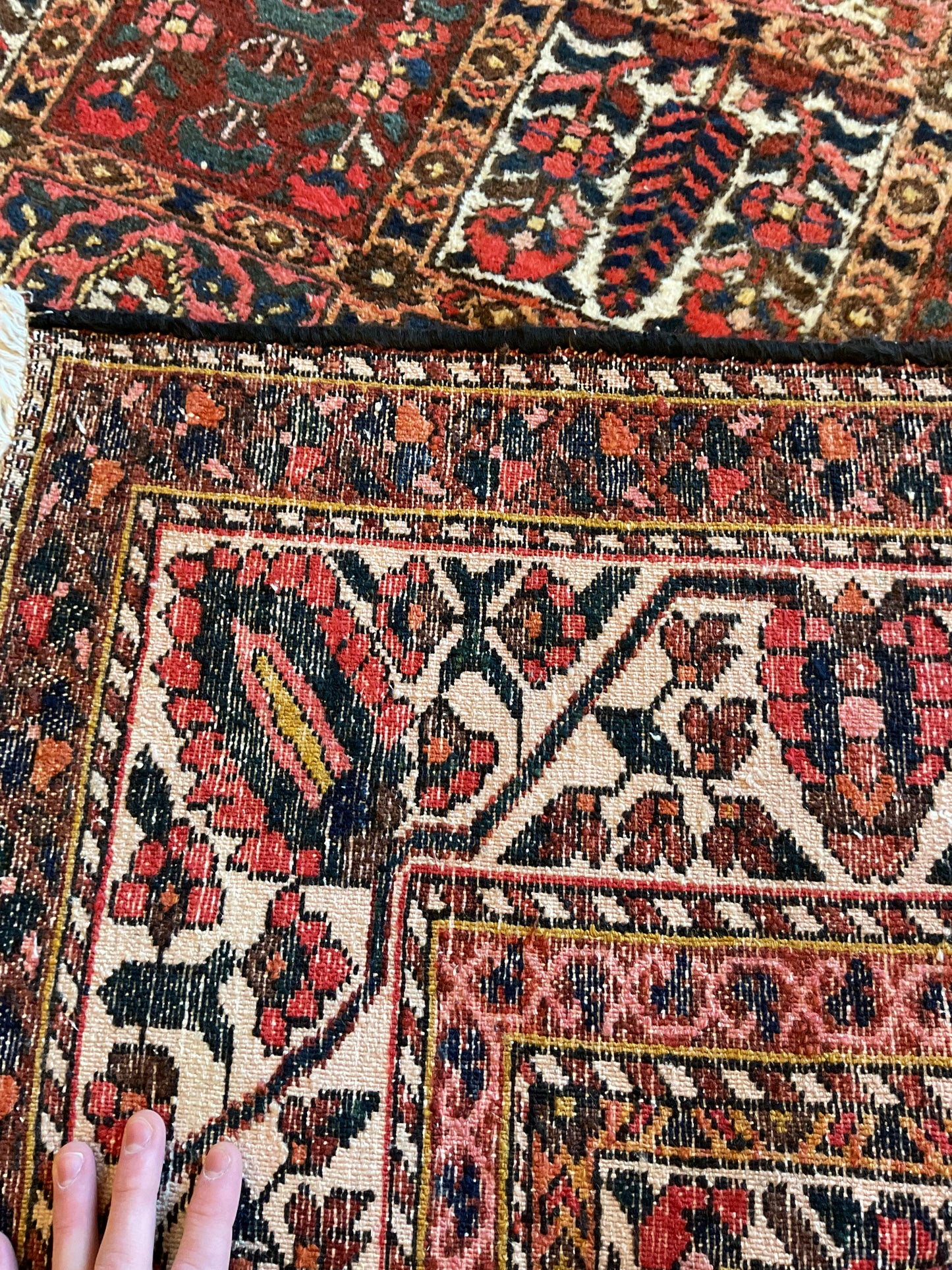 Persian Baktarie - 5.5x9.11 - 22361