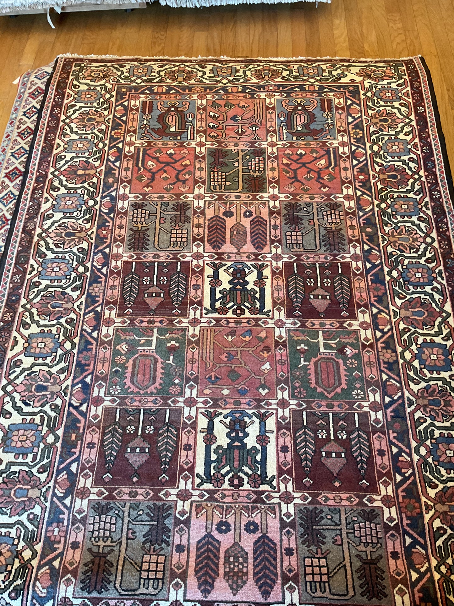 Persian Baktarie - 5.4x9.11 - D3129