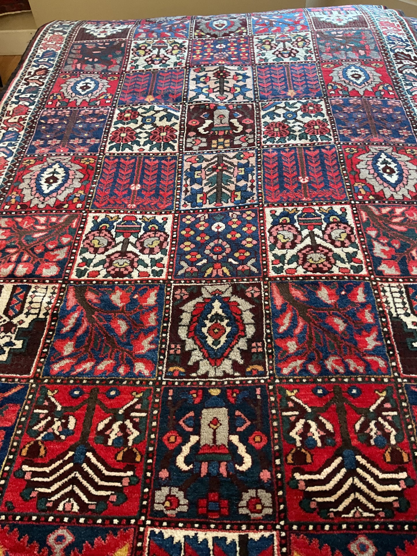 Persian Baktarie - 5.4x10.2 - 116884