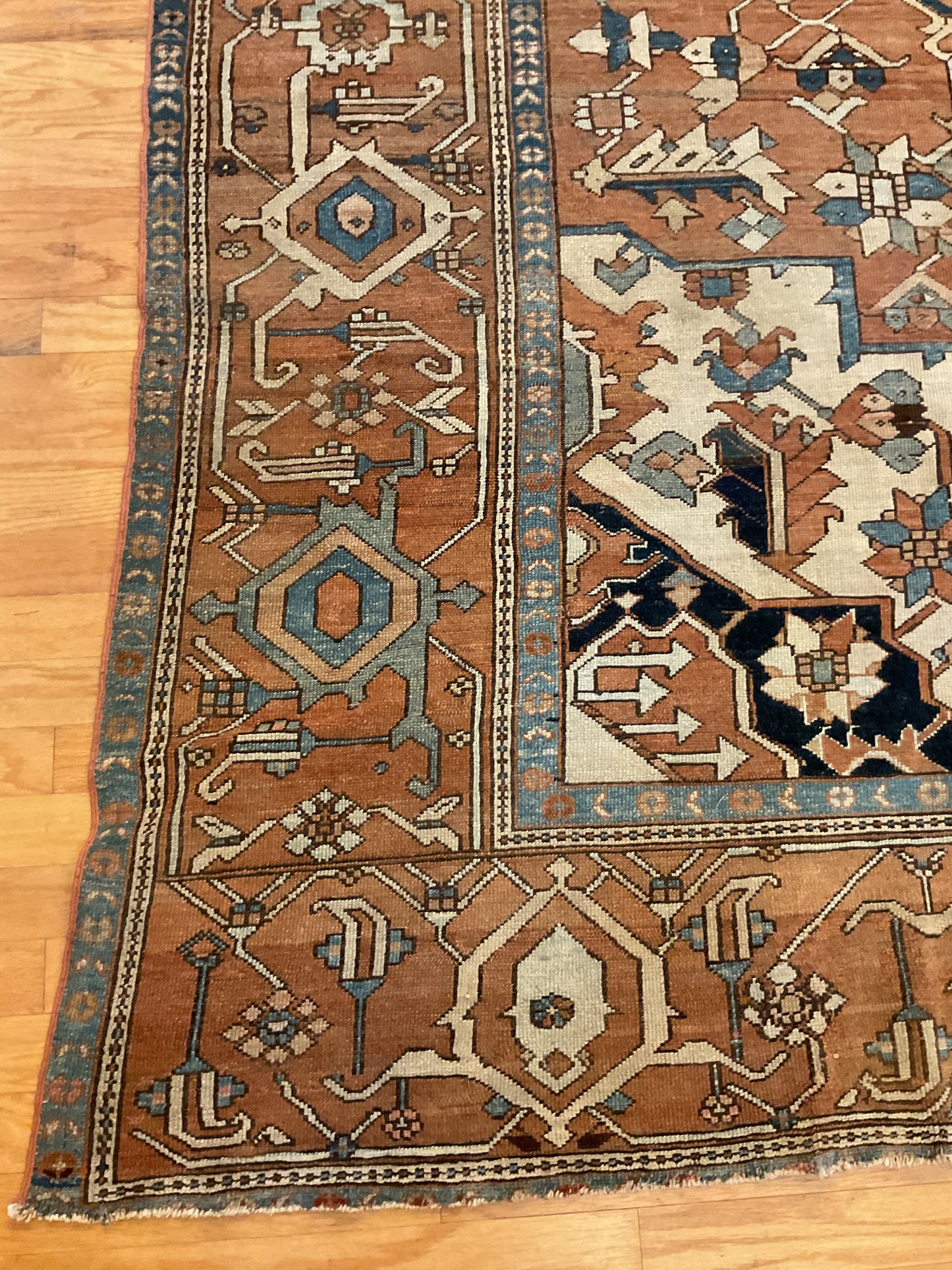 Persian Serapi - 9.5x13.2 - 1128931