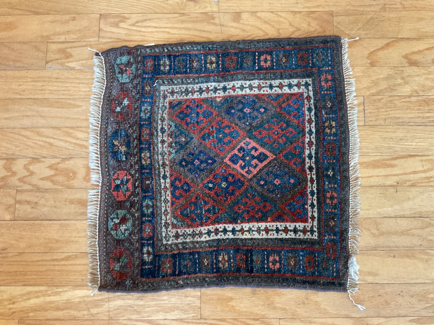 Persian Kurdish Bagface - 2.0x2.0 - 17793
