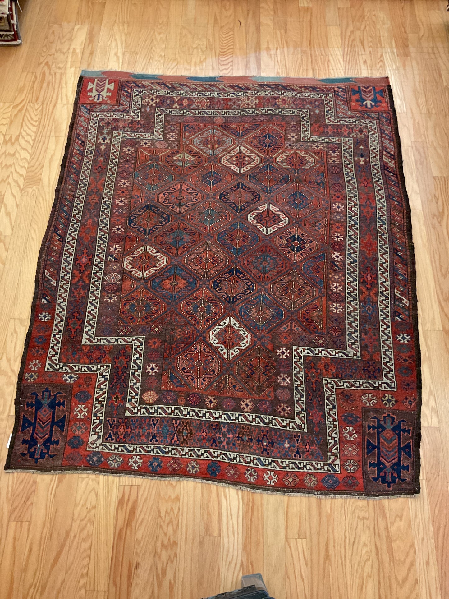 Persian Kurdish - 5.5x6.10 - 11980