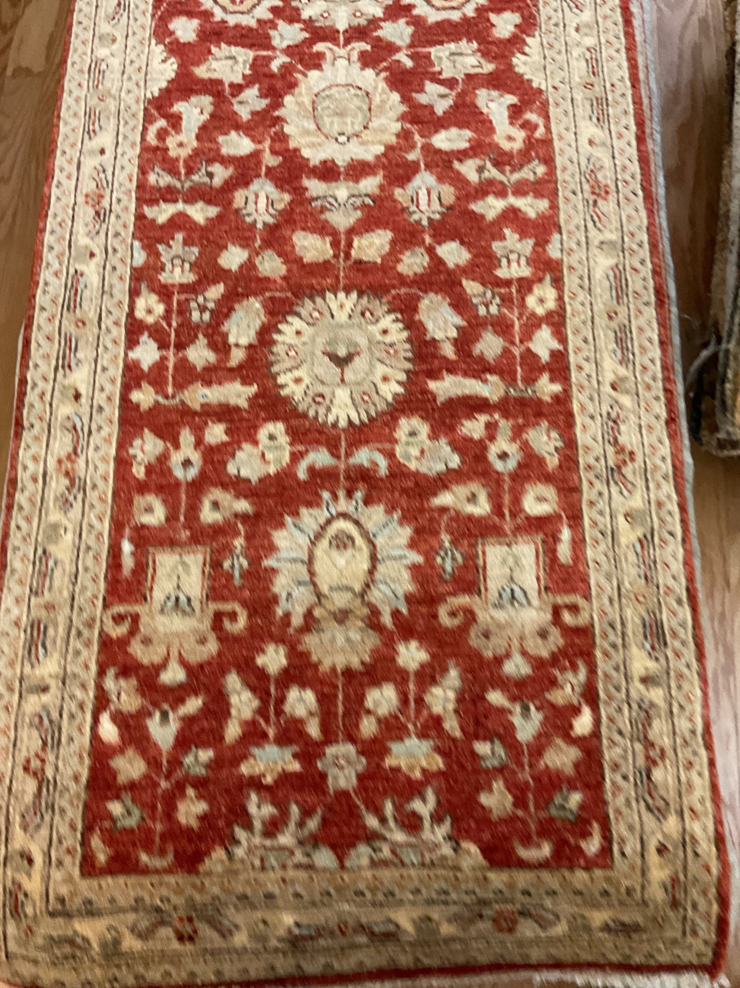 Pakistan Peshawar - 2.6x8.2 - K5817