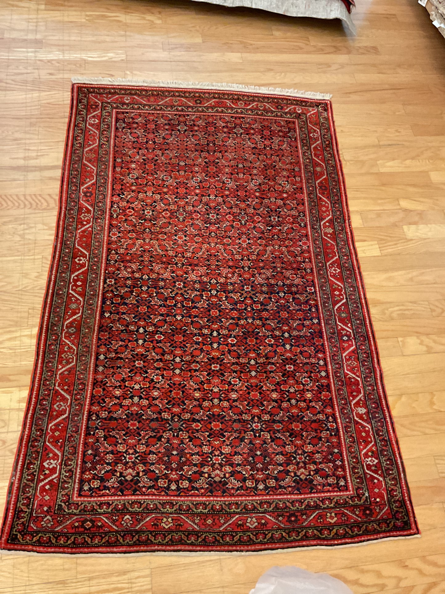 Persian Malayer - 4.1x6.8 - J5615