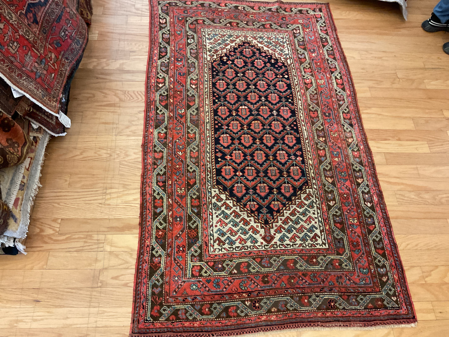 Persian Northwest - 3.11x6.8 - I5457