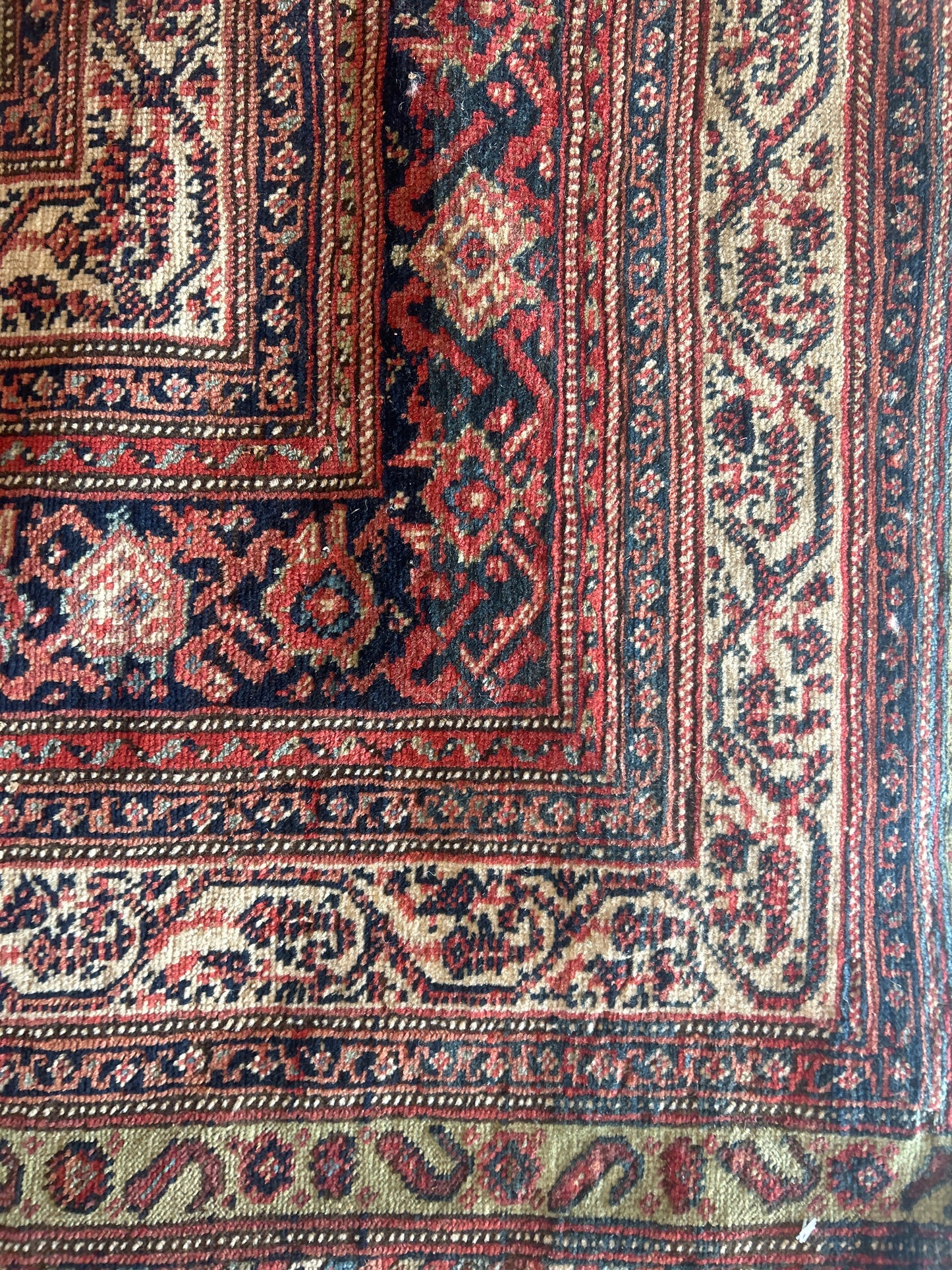 Persian Mir - 6.5x19.0 - AA16