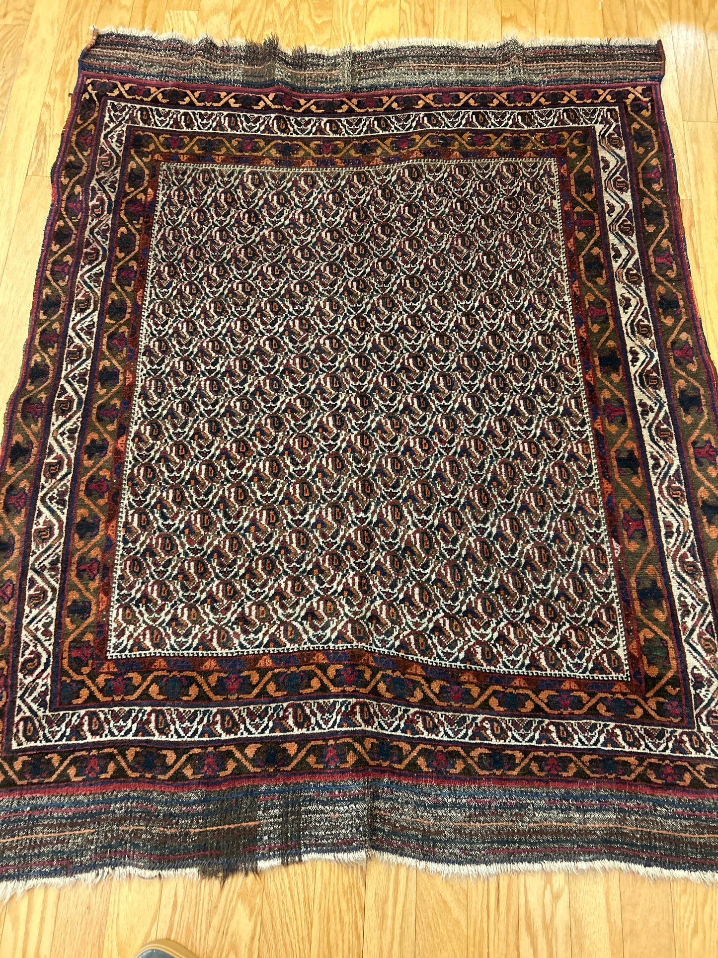 Persian Afshar - 4.3x5.3 - 119670