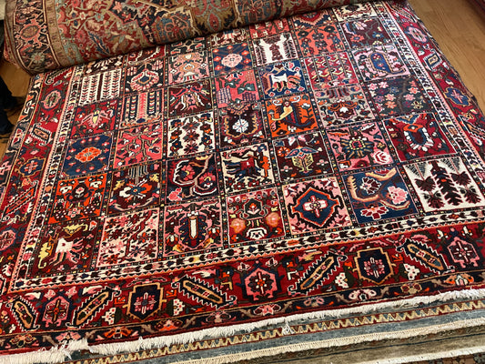Persian Baktarie - 9.3x11.9 - G4588