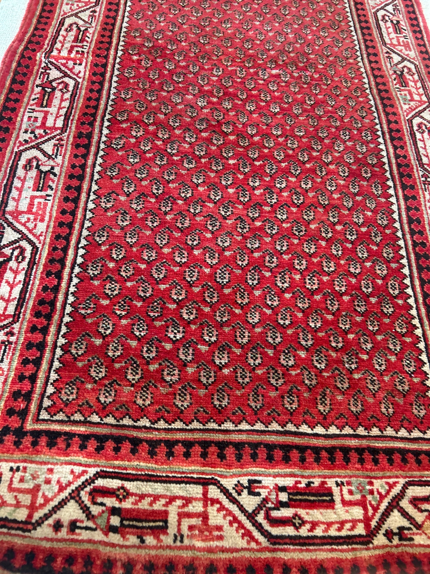 Persian Mir - 3.6x10.0 - 136992