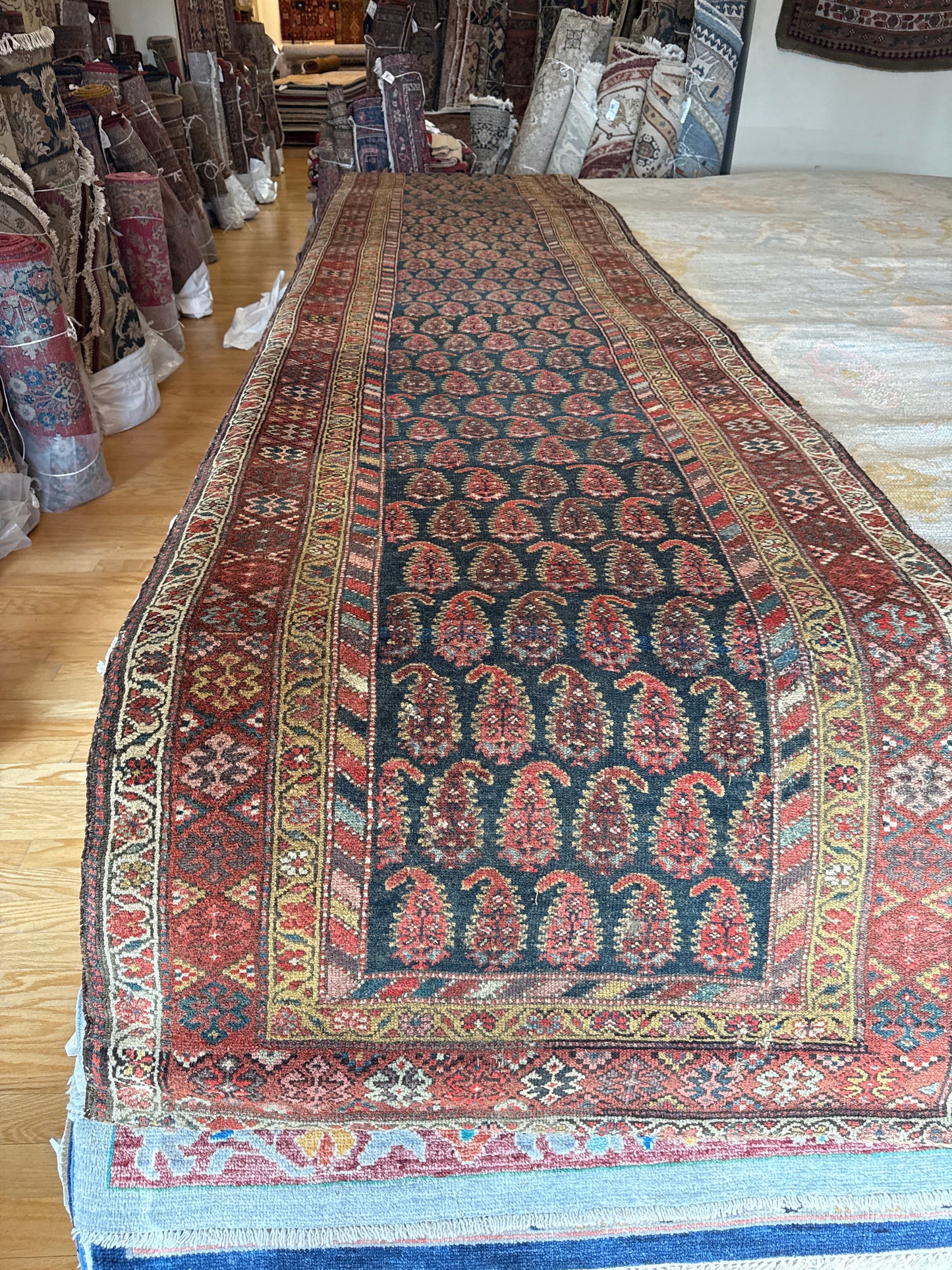 Persian Kurdish - 3.4x15.0 - 55431